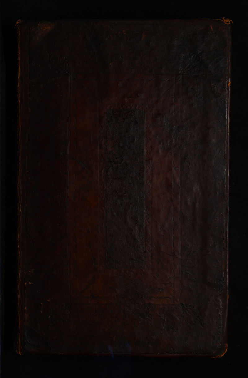 No text description is available for this image