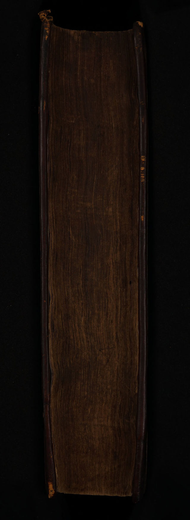 digitised image 3