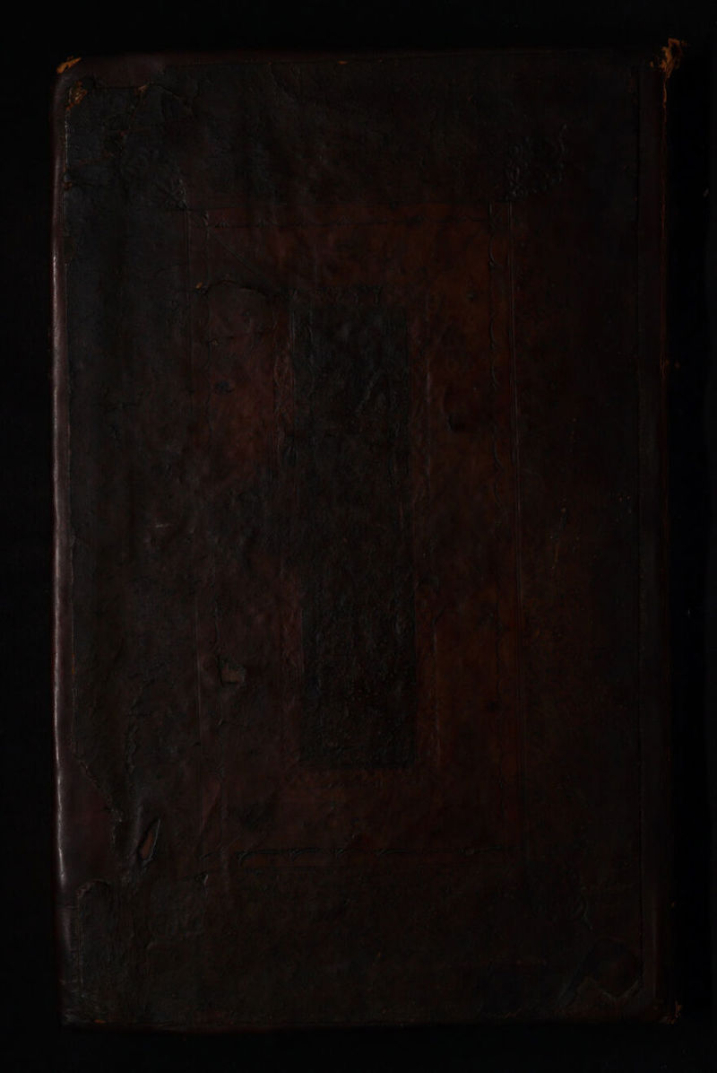 No text description is available for this image