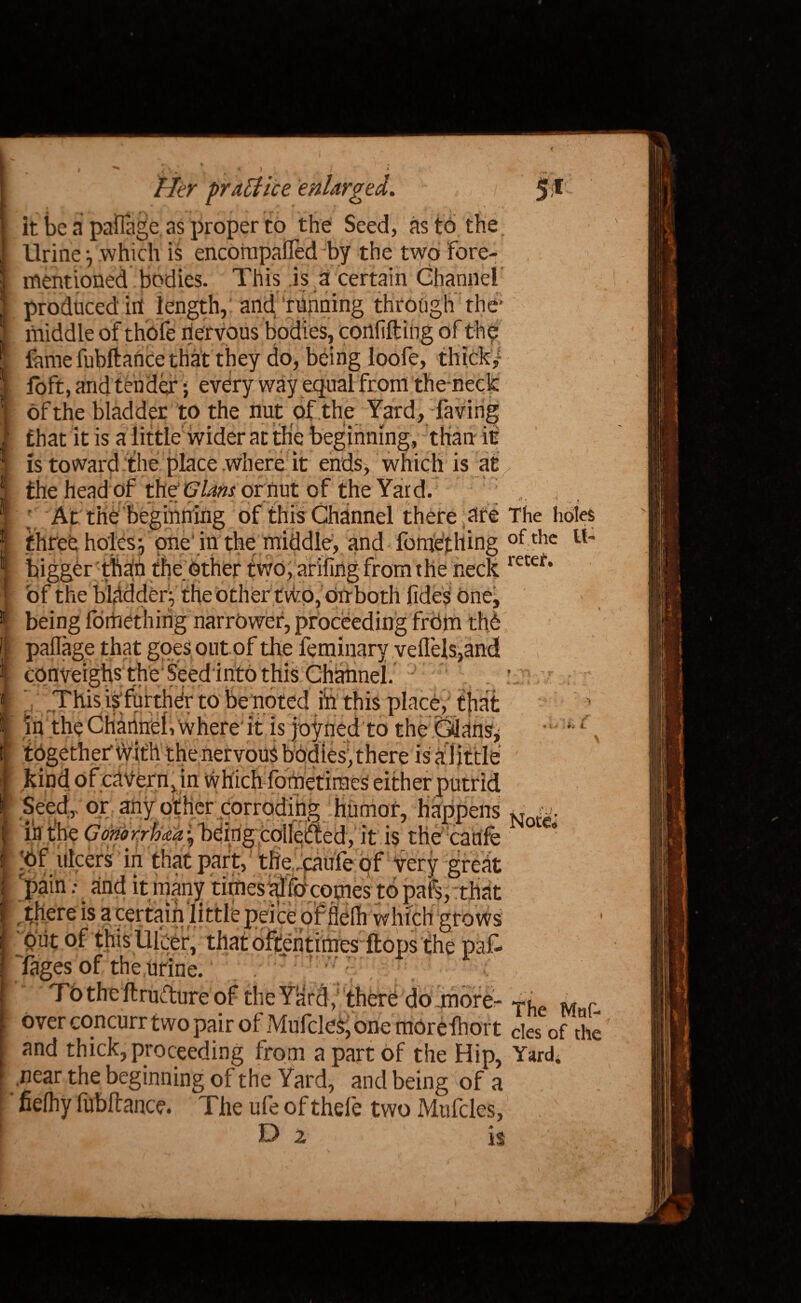 I \ ^ * 3 / * //tr practice enlarged. ,, / * ' ’ “ , l 'f ‘ ’ it be a paHage as proper to the Seed, as to the Urine which is encorapafled by the two fore- mentioned bodies. This is a certain Channel I produced in length, and running through the' | middle of thofe nervous bodies, confift ing of the ! fame fubftance that they do, being loofe, thick, I foft, and tender ; every way equal from the neck I of the bladder to the nut of the Yard, faving I that it is a little wider at the beginning, than it | is toward the place where it ends, which is at | the head of the Glam or nut of the Yard. At the beginning of this Channel there ure The holes I threh holesf one'in the middle, and fomefliing °fthc | biggbr than the Other two, arifing from the neck retet* I of the bUdderV the other two, Oirboth fidesOne^ ! being fomething narrower, proceeding frdm the | paflage that goes out of the leminary veilels,and , I this Channel. I This ^further to be noted ih this place, that I in the Channel, where'it is joyned to the Cdahs* “ together With the nervous bodies, there is ar little kind of cavern, in which fometiraeS either putrid er corroding hurnot, happens | in the Gonorrloaa-^ being colleifted, it is the cadfe f 'Of ulcers in that part, the caufe of very great I .'pain: . and it many times al focomes to pafs, that I ,there is a certain little peice of flelh which grows ! oiit of this Ulcer, that oftentimes flops the paf- I Tages of the urine. ‘ Totheftruflure of theYardy there do raorer Th Mr over concurr two pair of Mufcles, one morefhort cles of the and thick, proceeding from a part of the Hip, Yard* near the beginning of the Yard, and being of a fielhy fubftance. The ufe of thefe two Mufcles, , £> 2 is , * * • ■ i.' (