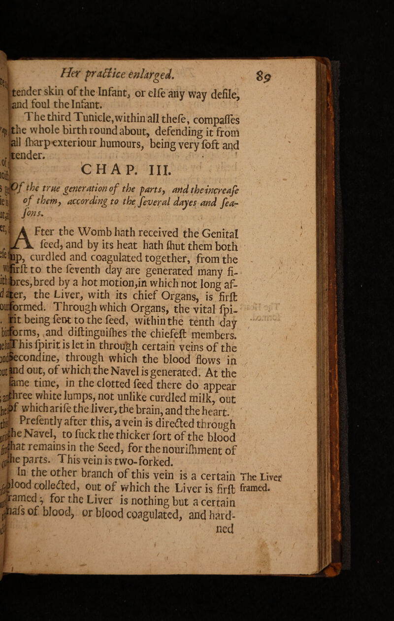 H; tender skin of the Infant, or elfe any way defile, and foul the Infant. ' ,' I The third Tunicle,within all thefe, compafles he whole birth round about, defending it from ill Ibarpexteriour humours, being very foft and :ender. CHAP. III. 5 the true generation of the farts, and the increafe ■ °f them, according to the fever a l dayes and fea- fons. - , .  . ( i ' , . ■ Fter the Womb hath received the Genital , --feed, and by its heat hath ftiut them both !le;up, curdled and coagulated together, from the Kfirft to the feventh day are generated many fi- if bres,bred by a hot motion,in which not long af- d ster, the Liver, with its chief Organs, is firft ouiformed. Through which Organs, the vital fpi- . fit being fent to the feed, withinthe tenth day biforms, and diftinguilhes the chiefeft members. lefeXhis Ipirit is let in through certain veins of the jniSecondine, through which the blood flows in Jnr? on# t-kio ____I a. .1 M !n< an r /V * «/X / ( V. I 1 / t VA I c d out, of which the Navel is generated. At the me time, in the clotted feed there do appear ;aEthree white lumps, not unlike curdled milk, out hePf which ari fe the liver, the brain, and the heart. 1 # Prefently after this, a vein is directed through ofi>he Navel, to fuck the thicker fort of the blood rf|at remains in the Seed, for the nourilhment of ((•'he parts. This vein is two-forked. In the other branch of this vein is a certain The Liver ^plood collected, out of which the Liver is firft framed. i^Tamed} for the Liver is nothing but a certain Or Klnnrl or J _11 1 \ iafs of blood, or blood coagulated, and hard- ned