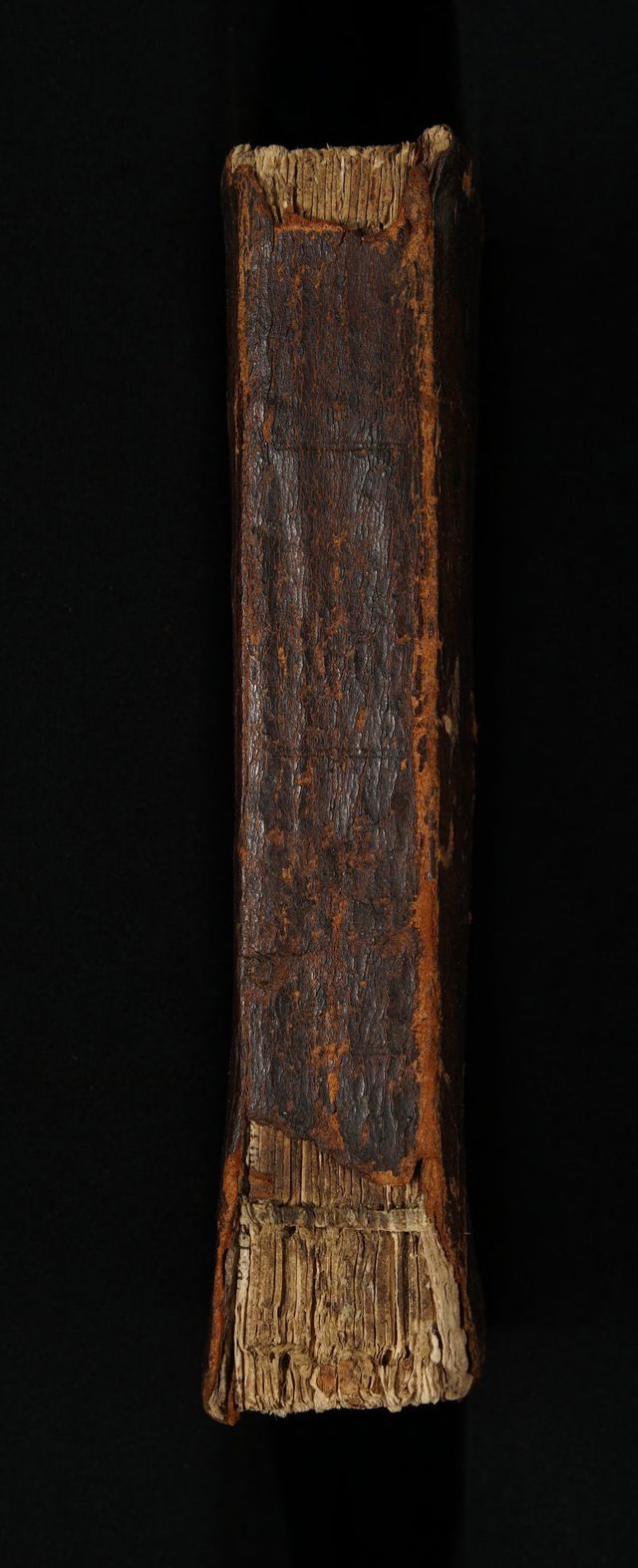 digitised image 2