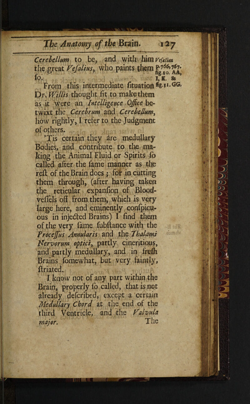 Cerebellum to be, and with him Vtftim the great Fefalius, who paints them foL akifoirt) i3d :'a»\ i,8k. & From this intermediate fituation Dr. Willis thought fit to make them as it were an Intelligence Office be¬ twixt the Cerebrum and Cerebellum, how rightly, I refer to the Judgment pf others. ,Kf)w nl sv£jQs certain they are medullary Bodies, and contribute to the ma¬ king the Animal Fluid or Spirits lb called after the fame manner as the reft of the Brain does ; for in cutting them through, (after having taken the reticular expanfion of Blood- veflels oft from them, which is very large here, and eminently conlpicu- ous in injedted Brains) l find them of the very lame fubftance with the Procejfus Annularis and the Thalami Nervorum optici, partly cineritious, and partly medullary, and in frelh Brains fomewhat, but very faintly, ftriated. ' I know not of any part within the Brain, properly fo called, that is not already deferibed, except a certain Medullary Chord at the end of the third Ventricle, and the Valvula major. The