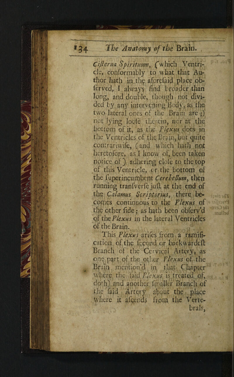 Ciflema Spirituum, (which Ventri¬ cle, conformably to what that Au¬ thor hath in th? aforefaid place ob- ierved, I always find broader than long, and double, though not divi¬ ded by any intervening Body, as the two lateral ones of the Brain are not lying lode therein, nor at the bottom of it, as the Plexus does in the Ventricles of the Brain, but quite comrarfwife, (and which hath not heretofore, as I know of, been taken notice of ) adhering dole to the top of this Ventricle, or the bottom of the fuperincumbent Cerelellum, then running tranfverfe juft at the end of the Calamus Script or ins, there be- ii ' * • . comes continuous to the Plexus of the other fide; as hath been obferv’d of the Plexus in the lateral Ventricles of the Brain. This Plexus arifes from a ramifi¬ cation of the feccnd or backwardcft Branch of the Cervical Artery, as one. part of the other Plexus of the Brain .mention’d in that Chapter where the laid Plexus is treated of, doth), and another firalltr Branch of the faid Artery about the place .where it abends from the Verte¬ brate,