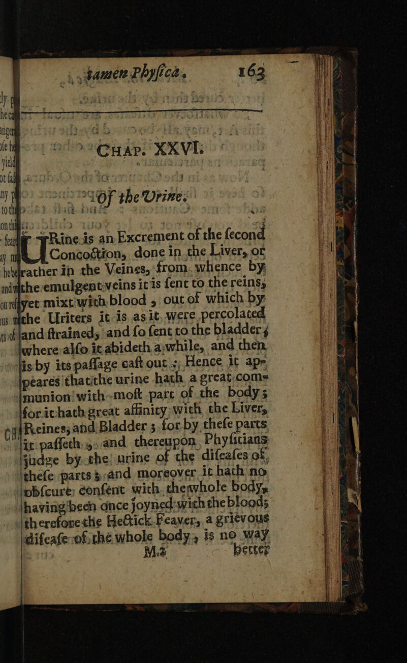 *Cuar. XXVI. ot fall ia eet tk ; y we a lee cy Gf the Urine. Rine.is an Excrement of the fecond yO Concostion, done in che Liver, ot tethrather in the Veines, from. whence by ndvithe emulgent-veins it is fent to the reins, undlyet mixt with blood , out of which by s tehe Uriters it is asit, were. percolated wofland ftrained, and fo fent co the bladder where alfo it abideth a,while, and then, jis by its paflage caft out .;; Hence it apr ipearesithatithe urine hath a great coms jmunion! with~moft part of the body; oricvhath great affinicy wich the Liver, cf Reeines; and Bladder 5 for by chefe parts “ir paffeth,,,and thereupon Phyficians: judge bythe! urine of the difeafes of. thefe parts },and moreover ic hath no obfcure; confent with. thewwhole body, hayingibeen once joyned:wich the bloods Jtherefonettie Hettick.Feaver, a grievous difcafe ofthe whole body, is no way mtd Mz bercer