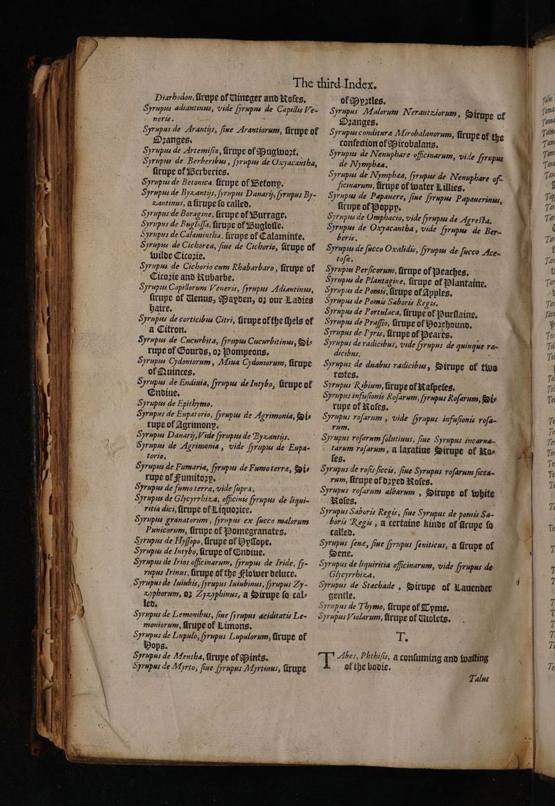 Diarbodon, ſirupe of Mineger and Roles. of Ppꝛtles. Syrupus adiautinus, vide fyrupue de CapsilisVe~ Syrupus Malorum Nerantziorusms , Sirupe of neris. 8 Onꝛanges. Syrupus de Arantys, fine Arantiorum, firupeof 5 yrupus condituræ Mirobalanorum, fir N upe of the Oꝛanges. dtonklection of Mirobalans. Syrupus de Artemiſia, ſirupe of Mugwoꝛt. . Syrupus de Nenuphare officinarum, vide Syrepus Syrupus de Berberibus, Hrupus de Oxyacantha, de Nympbea, ſirupe of Berberies. Syrupus de Nymphea, Hrupus de Nenuphare of Syrupus de Betonica ſirupe of Betonp. Feinarum, ſirupe of water Lillies. Syrupus de Byzantys, fyrupus Danary,, Hrupus By- Syrupus de Papauere, ſiue fyrupus Papauerinus, zantinus, à ſirupe ſo called. ſirupe of Poppy, Syrupus de Boragine, ſirupe of Burrage, Srupus de Omphacio, vide fyrupus de Agresta, Syrupus de Buglofa, ſirupe of Bugloſle. Syrupus de Oxyacantha, vide Hrupus de Ber- Hripus de Calamintha, ſirupe of Calaminte, beris. Syrupus de Cichorea, ſiue de Cichorio, ſirupe of Syrupus de ſueco Oxalidis, Hrupus de ſucco Ace« wilde Cicoꝛie. tof. Syrupus de Cichorio cum Rhabarbaro, ſirupe of Syrupus Perficorum, ſirupe of Peaches, Cicoꝛie and Kubarbe. Syrupus de Plantagine, ſirupe of Plantaine. Jyrupus Capillorum Veneris, Hrupus Adiantinus, &amp; Syrups de Pomis, ſirupe of Apples. ſirupe of Uenus, Mapden, oz our Ladies Syrupus de Pomis Saboris Regis. haire. Syrupus de Portulaca, ſirupè of Purſlaine. Syrupus de corticibus Citri, ſirupe of the ſhels of Syrupus de Praſſto, ſirupe of Bo2rehounn, a Citron. Syrupus de Pyrss, ſirupe of Peares. Syrupus de Cucurbita, firupus Cucurbitinus, i- S yrupus de radicibus, vide [yrupus de quinque ra- rupe of Gourds, oꝛ Pompeons. dicibus. N Syrupus Cydoniorum, Miua Cydoniorum, ſirupe Srupus de duabus radicibus, Sirupe of two of Quinces. rotes. Syrupus de Endinia, fyrupus de Intybo, firupe Of Syrupus Ribium, ſirupe of Kaſpeſes. Endiue. Syrupus infuſionis Rofarum, Hrupus Roſarum, Sis Syrupus de Epitliymo. rupe of Roſes. Srupus de Eupatorio, Hrupus de Agrimonia, Si- Syrupus roſarum, vide Hrupus infufionis roſa- rupe of Agrimonp. rum. Syrupus Danary,Vide Hrupus de Byxantis. | Syrupus roſarum ſolutiuus, ſiue S yrupus incarna- Syrupus de Agrimonia, vide fyrupus de Eupa- ae roſarum, a laratine Sirupe of Kos torte, es. Syrupus de Fumaria, fyrupus de Fumo terre, Si Syrupus de roſit ficcss, fine S: Yrupus roſarum ſicca- rupe of umitoꝛp. rom, ſirupe of dꝛped Roles. Syrupus de fumo terræ, vide ſapra. Syrupus roſarum albarum, Sirupe ok white Syrupus de Glycyrrhiza, officines fyrupus de liqui- Roles. ritia dici, ſirupe of Liquozice, Syrupus Saboris Regis, fine Syrupus de pomis Sa- Srupus granatorum , fyrupus ex fucco malorum boris Regis, a certaine kinde of fir upe ſo Punicorum, ſirupe of Pomegranates. called, Syrupus de Hyſſopo, ſirupe of pope, Syrupus ſenæ, ſiue Hrnpus ſeniticus, a firupe of Syrupus de Intybo, Grupe of Endiue. Sene, 7 Syrupus de Irios officinarum, Hrupus de ride, ſy- Syrupus de liquiritia officinarum, vide Hrupus de rupus Irinus, ſirupe of the Flower deluce. Gheyrrbiza, Syrupus de Iuiubis, Hrupus Iuiubinus, fyrupus Zy- Syrupus de Stachade , Strupe of Lauender zyphoram, 02 Zyzyphinus, a Sirupe ſo cals gentle. | led. Srapus de Tay mo, ſirupe of Tpme. Syrupus de Lemonibus, fine ſyrupus aciditatis Le- Syrupus Violarum, ſirupe of Violets. monicrum, ſirupe of Limons. Syrupus de Lupulo, fyrupus Lupalorum, ſirupe of ie Dops. | | . ; Syrupus de Mentha, ſirupe of Mints. T Abes, Phthifis, a conſuming and walling Syrapus de Myrto, fine Hrupus Myrtinus, ſirupe ol the bodie. Talus