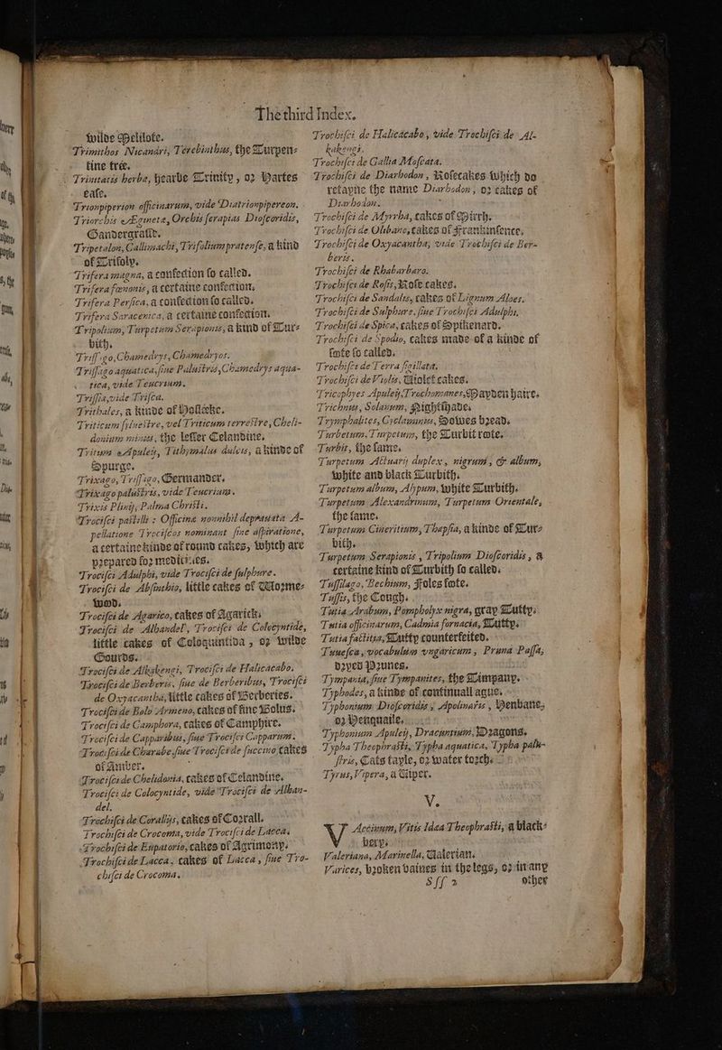 — — wilde Melilote. Tyimithos Nicandvi, Terebinthus, the Turpen⸗ fine fre. | Trionpiperiow officinarum, vide Diatrionpipereon. Triorchis eEgineta, Orc his ferapias Dioſcoridis, Gandergralle. Tripetalon, C allimachi, Trifolium pratenfe, &amp; kind of Triloly. Trifera magna, acanfedion fo called. Tri ſera flænonis, acertaine confecion. Trifera Perſica, à confedion fo called. Trifera Saracenica, a cettaine tonfection. Tripolium, Turpe tuen Serupiouis, d kind of Tur⸗ bith, Triſſgo, C hamedrys Chamed os. Triſſago aquatica, fine Palustris, ,Chamedrys aqua- tica, vide I eucrium. Triſſia, vide Trifca. Frithales, a kinde of Wolleke. Triticum fpluestre, vel Triticum terrestre, Cheli- donium minus, the leſſer Celandine. — Titus eApuleij, Tithymalus dulcis, à Rinde of Spurge. — Trixago, T rif] igo, Germandcer. Trixago palustris, vide Teucrium. Trixts Pliny; Palma C hristi. Trociſci paflilli: Officine nounihil deprauata A. pellatione Jrociſcos nominant ſine aſpiratione, a certaine kinde of round cakes, Which are pꝛepared ſoꝛ meditiaes. Trociſci Adulphi, vide Trociſci de ſulphure. Trociſci de Abjinchio, little cakes of Moꝛme⸗ Wood. Trociſci de Agarico, takes of Agarick⸗ Trociſci de Albandel’, Trocifei de Colocyutide, little cakes of Colocuintida, oz wilde Gourds. Trociſci de Alkakengi, Trocifci de Halicacabo. Trocifei de Berberis, fine de Berberibus, Trobiſci de Oxjacantha, Uttle takes of Berberies. Trociſci dé Bolo Armeno, cakes of fine Wolus. Trociſci de Camphora, Cakes of Camphire. Trociſci de Capparibus, fiae Jrociſci Capparum. Trot: ſci dt C herabe fine Trocifcide ſuccino cakes ol Amber. i Traciſcide Chelidonia, cokes of Celan ine. Trociſci de Colocynt ide, vide Trociſci de Alban- del. Trochiſci de Crocoma, vide Trociſci de Lasca. Trochifei de Eupatorio, cakes of Agrimomp. Trochiſci de Lacca, cakes of Lacca, fue Tro- chiſci de Crocoma. Trochiſci de Halicacabo, vide Trochiſei de Al. PAR POTZ, Trocheſei de Gallia Mofeata. Trochifei de Diarbodon , Roſetakes Which do refayre the name Diarhadon, 02 cakes of Diarbodon. : Trochiſci de Myrrha, cakes of Mirrh. Trochiſci de Olibano, cakes of Arankinſence, Trochiſci de Oxyacantha; vide Trothifei de Ber- bert. Trochiſei de Rhabarbara. Trochijes de Rofts, ole cakes, Troc hiſci de Sandalis, cakes of Lignum Aloes. Troc hiſei de . alpbure. fie Trochi (ci Adulphi. Trochifei de Spice, cakes of Spikenard. Trochifci de Spoaio, cakes made of a kinde of fate fo called. Trochiſct de Terra ſigillata. Trochifci de Hiolis, Niolet cakes. Tricophyes Apuley,T rachomanes, Mapden haire. Trichnus, Solanum, Nightſhade. Trymphalites, Cyclamunus, Sobes bead. Jurbetum, Turpetum, the Turbit rote. Turbit, tye ſame. Turpetum Actuarij duplex, nigrum, &amp; album, white and black Turbith. Turpetum album, Alypum, White Turbith. Turpetum Alexandrinum, Turpetum Orientale, the lame. Turpetum Cineritium, J hapſia, d kindè of Tur⸗ bith. Turpetum Serapionis, Tripolium Dioſcoridis, 8 certaine kind ol Turbith fo called. Tufilago, Bec hium, Foles tote. Tuffis, the Cough. Tutia Arabum, Pompholye nigra, tay Cutty; Tutia officinarum, Cadmia fornacia, Tutty. Tutia factitia, Tutty counterfeited. Tuue(ca, vocabulim vngaricum, Pruna Paffa; dꝛped Paunes. N Tympania, ſiue Tympanites, the Timpanp. Typhodes, à kinds of continuall ague. Ipbonium Dioſcoridis, Apolinafis, Benbanes o Henquaile. Typhonium Apuley, Dracuntium, Dragons. Typha T beophrasti, Typha aquatica, ‘Typha palu- frie, Cats taple, oꝛ water toꝛch⸗ Tyrus, Vipera, u &amp;iper. ve V Accinum, Vitis Idea Theophrasti, à black? bery. i Valeriana, Marinella, Galerians Varices, bꝛoken baines in the legs, oꝛ in anx ; Sff 2 other
