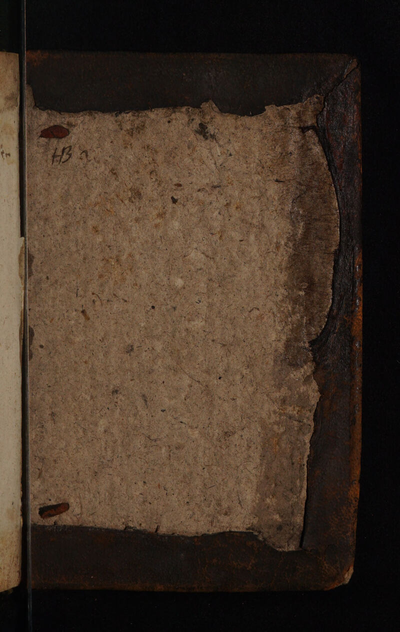 No text description is available for this image