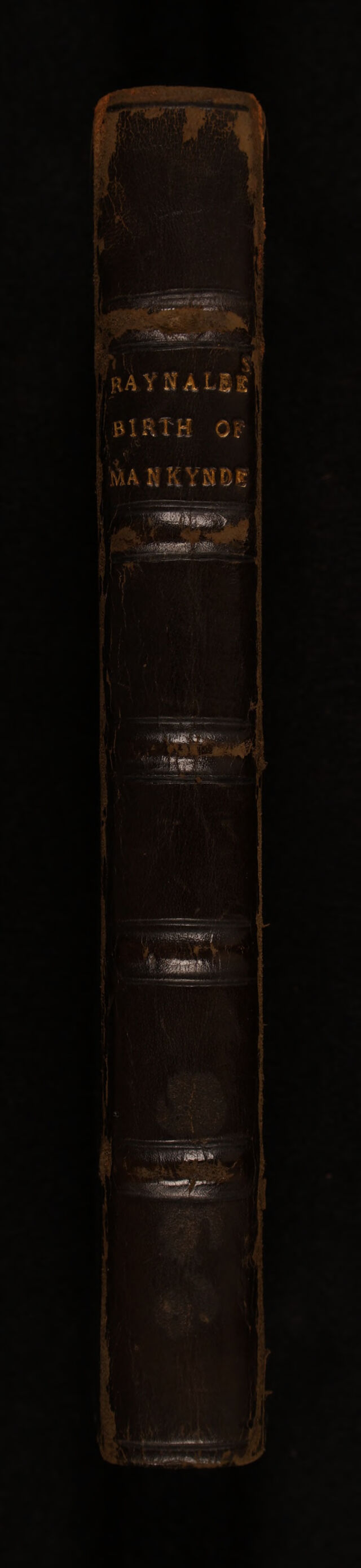 No text description is available for this image