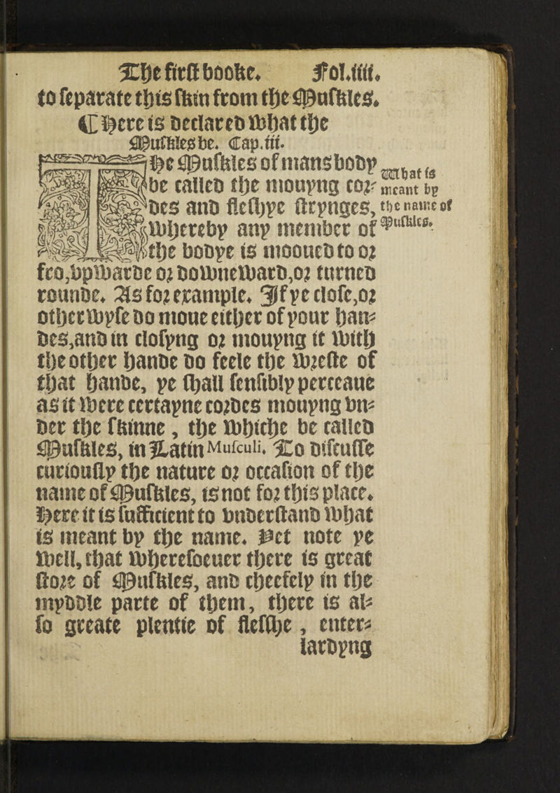 %Xtt ftrft boobe* 5f owttt* to fepara tt tilts ffetn front tfje£l3ufuics* Carets beclarebfbhatthe ^uffjtejsbe. Cap.tit. $e ^ufMes ofntansbobp h fs |§Jbe calleb £!>e moupng co^ meant bP bes anti flefhpc ftrpnges, t!)cnan:cof lbherebp an? member of2gl!fultfi- tl)t bobpe ts ntooueb to ot fco,bptbarbe o? boumelbatb,o2 turneo rounbe* Zb fo? example* 3tfpeclofe,oj othcttbpfe bo ntoue either of pour Dam bes,anb in clofpng ot moupng tt tbtth tije otljer hanbe bo feele the nneftc of tl)at hanbe, pe fljaU fenftblp perccaue as tt there ccrtapne combes moupng bn* ber t!)e ffctnne, the fbhtche be cailcb £)3ufU!es, tnfLattnMufcuIi‘ %o btfeuffe eurtouflp the nature o: occafton of tlje name of Sgtufttfes, ts not fo? this place* $ere tt ts fuffictcnt to bnberftanb tbljat ts meant bp the name* pet note pe ttiell, shat tbherefoeuer there ts great tloje of S^ufitles, anb ctjecfelp tn the mpbble parte of them, there ts at* fo greate plentte of fleffye, enter* tarbpng
