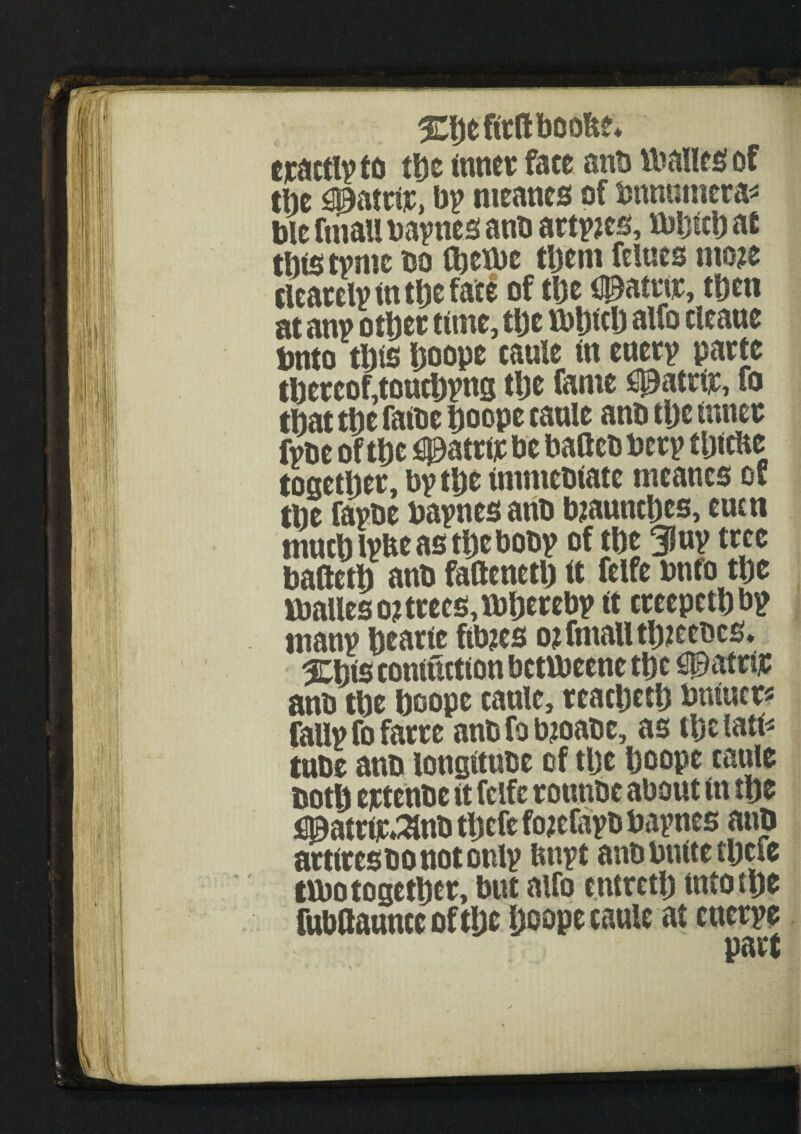 ^fjeftrftbooSse* eractlyto (be inner fate anb ibailestof the ^patrtr, bp nieanes of bnmnnera* bit ftnau baynes anb artyjcs, ibbicb at tbis tymc bo fljetbe them femes ntoje tlcarelyinthefate of tlje upatrir, then at any other time, the ibhith alfo tleaue bttto this hoope caule in eucry parte thereof,touchyng the fame £Patrir, fo that the fatbe ijoope caule anb tl)c inner fvbe of the ^patrir be baftcb bery tijitbe together, by the imntebiate mcanes of the faybe baynes anb mauncljcs, eucn mnthlyheastheboby of the 31uy tree bafteth anb fattened it feife bnro the Vballes o? trees, Kbhereby it creepeth by many hearie ftbjes ojfmallthjecbes. %m coniuttion betibeene the spatrir anb the hoope caule, reatheth bniucr* Tally fofarre anbfobjoabc, as tbelati* tube anb longitube of the hoope caule both ejetenbe it fclfe rotinbc about in the flpatrir»2lnb tljcfe fojefayb baynes anb artiresbo not only ftnyt anb butte thete ttbo together, but alfo cntrctl) into the fubflannee of the hoope caule at cttcrye patu