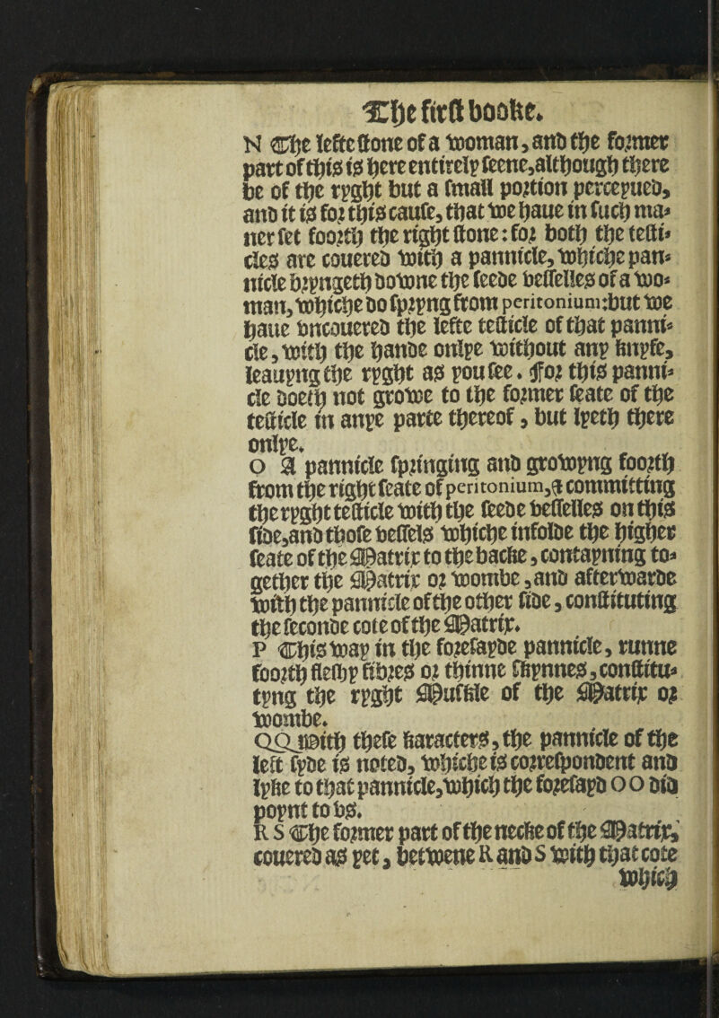 %l)t fitft boofee* N cbe ieftetfone of a tooman, anti the former part oft^tjs i0 here entirely feenc,although tljcrc be of the rpght but a fmall portion pcrcepuea, anfi ft f0 fo? this caufe, that toe haue in fuel) ma* nerfet fooitl) ttjc right hone: foi both tfjetettf* dess ate couerea totth a pannicie, tohiche pan* nfcle btpngeth aotone the feeae faeffellegs of a too* man, tohiche ao fptpng from peritoniunubut toe haue tmeouerea the lefte tettfcle of that panni* de,toith the battae onlpe toitbout anp fmpfe, leaupngtbe rpgbt ao poufee. $ot tbte pannf* c!e aoetb not gtotoe to the former feate of the tefttcle fn anpe parte thereof, but Ipetf) ttjere onlpe. , •• o a panmeie fpjtngtng atia grotoptrg foojth from the right feate of pen tomum,a committing therpghttetticletoiththe fceaebeffelfes on this ftae,anatbofe Petrel tohiche infoiae the higher feate of the Shatrir to the baefie, contapning to* gether the fi^atrir o? toombe,ana aftertoarae tofth the pannicie ofttje other fiae, constituting the feconae cote of the Q^atrtp. p chi0toap in the fojefapae pannicle, runne foo2thflethpfib?e0 o? thinne ffipnne0,conffitu* tpng the rpght £©uff»1e of the ^atrtjc o? toombe. Qoj©ith thefe 6aracter0,the panmcle of the left fpae to notea, tohiche tecojreibonaent ana Iphe to that pannicle,tohich the fojefapa o o oia popnttob0. R s che former part of the neefse of the ‘SPatrije, couerea a0 pet, bettoene a ana s toith that cote S> I