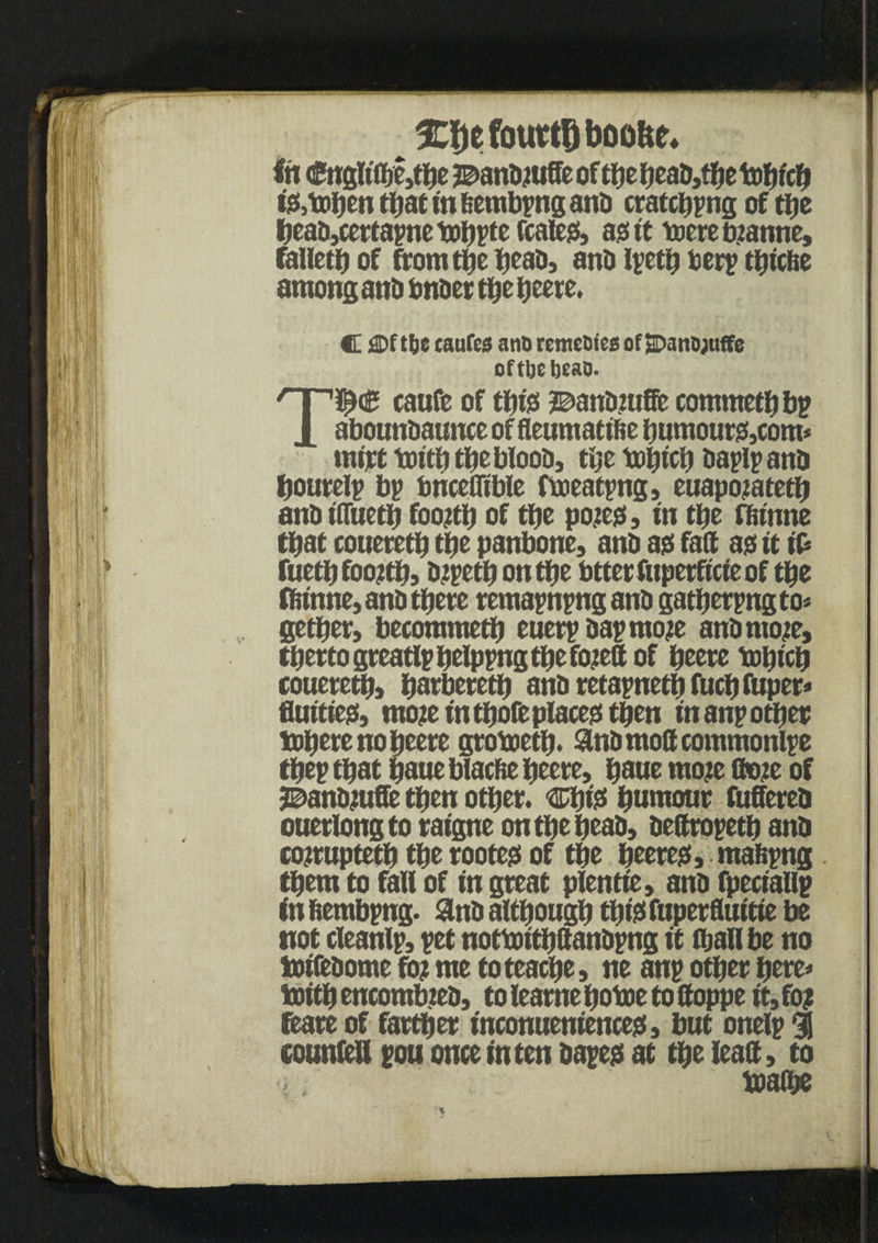 fotittPoofc* lit <£nglt'0)e,tbe j^anbfliffeof tbebeab,thetohfch i&tohen that in bembpng anti cratcbpng of tljc heab,certapne tobpte fcafeg, ass tt torn ratine, falleth of from the heab, anb Ipeth terp tljicfie among anD bnoer tfje fjeerc. C£Dftbe caufcs ano rcmcDics of SDanojuffe of tbc beao. T1$€ caufe of tf)t;3 2E>anbmffc commethbp abounbaunce of fleumattfie humour#,com* tmrt toitf) thebloob, the tohtcb Daplp anb fjourelp bp bncefltble fmeatpng, euapojateth anb ifliieth foo#h of tfje pojeo, in the ffiinne that couereth the panbone, anb a# fad a# it it fuetb foo?tb, bipeth on tfje btterfuperficieof tpe ffiinne, anb there remapnpng anb gathering to* getfjer, becommetb euerp bapmoje anbmoje, thertogreatlphelppngthefojedof heere tohich couereth, barberetb anb retapneth fuchfuper* fluitieo, mojte in tfjoft places! then in anp other toherenoheere grotoeth. anbmodcommonlpe thep that haueblacfte heere, haue mo?e ffcne of ^anbjufle then other. humour fuffereb ouerlongto raigne ontbeheab, bedropeth anb cojrupteth the rooter of the heere#,mafcpng them to fall of in great pfentie, anb fpeciallp in fiembpng. 3lnb although th&fuperfluitie be not cleanlp, pet nottoithdanbpng it fhall be no toifebome fo? me toteache, ne anp other here* toith encombieb, to learne hotoe to doppe it, foj Stare of farther inconueniencejs, but onelp % eounfeU pou once in ten bape# at the lead, to toad*