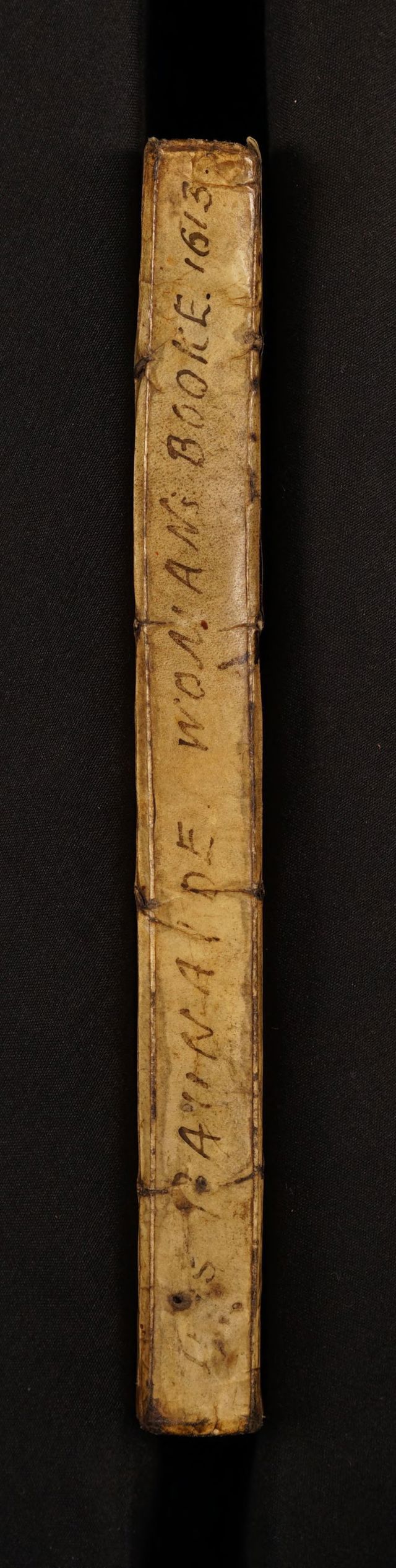 digitised image 2