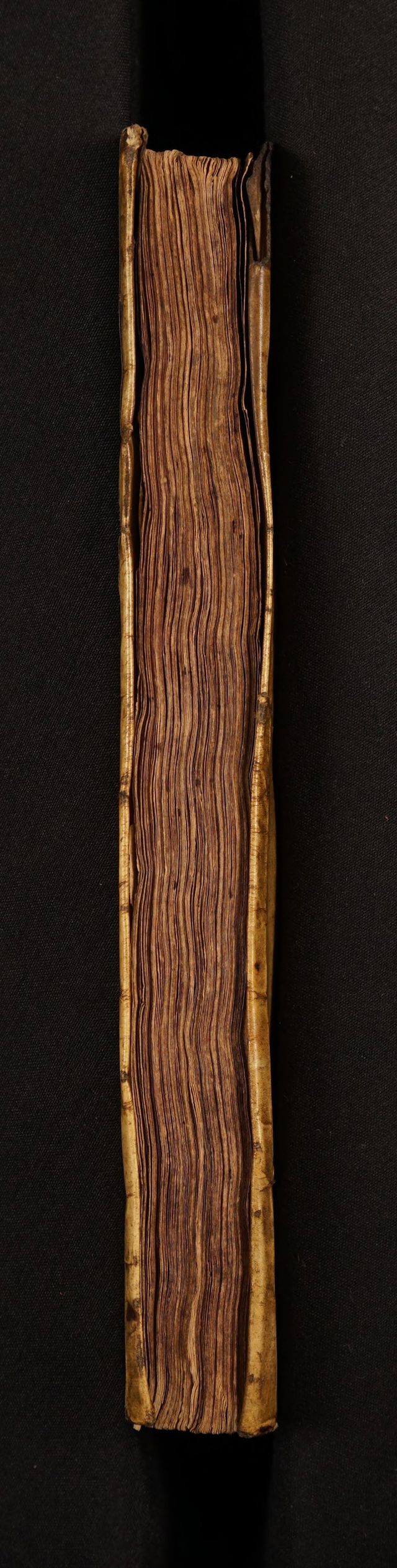 digitised image 3