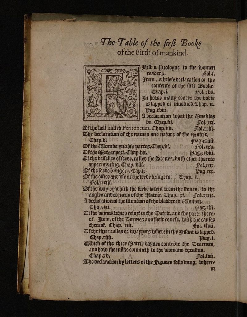 »- The T. abl of the firft Booke of the Birth of mankind. 392 & W2ologue to fhe women readers. Ffol.t, Ftem , a driefe declaration of the contents of the frit Wooke. Chap.i. Fol. rbit, 4nhowe many coates the bovie is lapped 03 inuolued.£ hap. tt, Pag rbitt. A declaration tobat the Muskles be. Chap.ftt. Fol. crt. Df the tell called Peritoneum, Chap. titt, -Fol.cetti. sLhe declaration of the names ari nature of fhe Spatrir. Chap.v, . {Paq.rvitit. Mf the Combe andhis pattes, Chap. bi. Fol. rch DFthe Wotyer pogt. Chap. bit. ag.rebitt. Di the veflelles of (cede, called the Stones, si other thereto appertapning. Chap. btit. Folrrcit. Of the (eede bzingers. Cap.ir. {Pag rer. at the office and ble of the fede bainaers: Chap. Pe “Po errtiit. ~~ ‘Dr the wap by whith the leeds is tent from the fones, to the anales and cozners of the Datrir. Chap, ris: Fol.rrric, 4 veclaration ef the fifuation ofthe blapder 1 in Comets Chap.pt. - | » Wag elit. Ofthe vanes tobich reloot to the Patric, and the ports there- of. Jfem, ofthe Cermes andthe course, with the canes thereof. Chap. titi. Fol, rlbit, Df the thzec calles 02 tw2eppers therein the Jnfant is lapped. Chap.titit. pant, WAhich ofthe three (atric bapnes conteie the Cearmes, and howw the milke commeth to the womans bzeattes. Chap.rb, Fol. vit, MChe declarationby letters of the Figures following, wheres tt