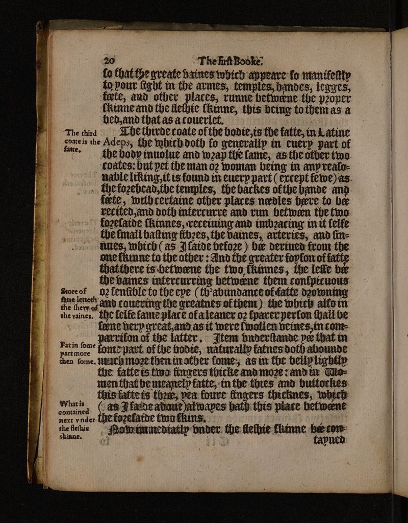 fo that thr sveate baines which appeare fo manifeaty ig Pour Light mr the avines, temples, bands, iegyes, teete, and other places, runne betwene the proper tRrnne and the flethie fhinne, this being tothentas a hed,andthatasacoucrict, TANateA ae (- Thethird = HHEthiwdecoate of the bonie,ts the fatte, niLatine Abe body muolue and weap tie fame, asthe otber tino. soates: but pet the man o2 woman being tn anyreato- . Thefozebcad,the temples, the barkes ofthe bande and feie, wrthcertaine other places nedles deve to be vecticd,and doth tntercurve and tun betwen the tino: - fozelatde thinnes, recetuing and tmbzaring itt felfe - thetmall batting ttbzes, the batnes, arteries, and fin- on Mes, obich (as J Catde befoze ) her derined from the. thatthere ts .betwene the two fitinnes, the lee be the vaines tufercurring betwene them confptcuous Scoreof oztentibleto the epe (th’abundance of atte deowning furs leveth ony coueriny the areatnes ofthent) the which alforn che vaines. Che felfe tame place ofaleaner o2 tpaverperton halt be