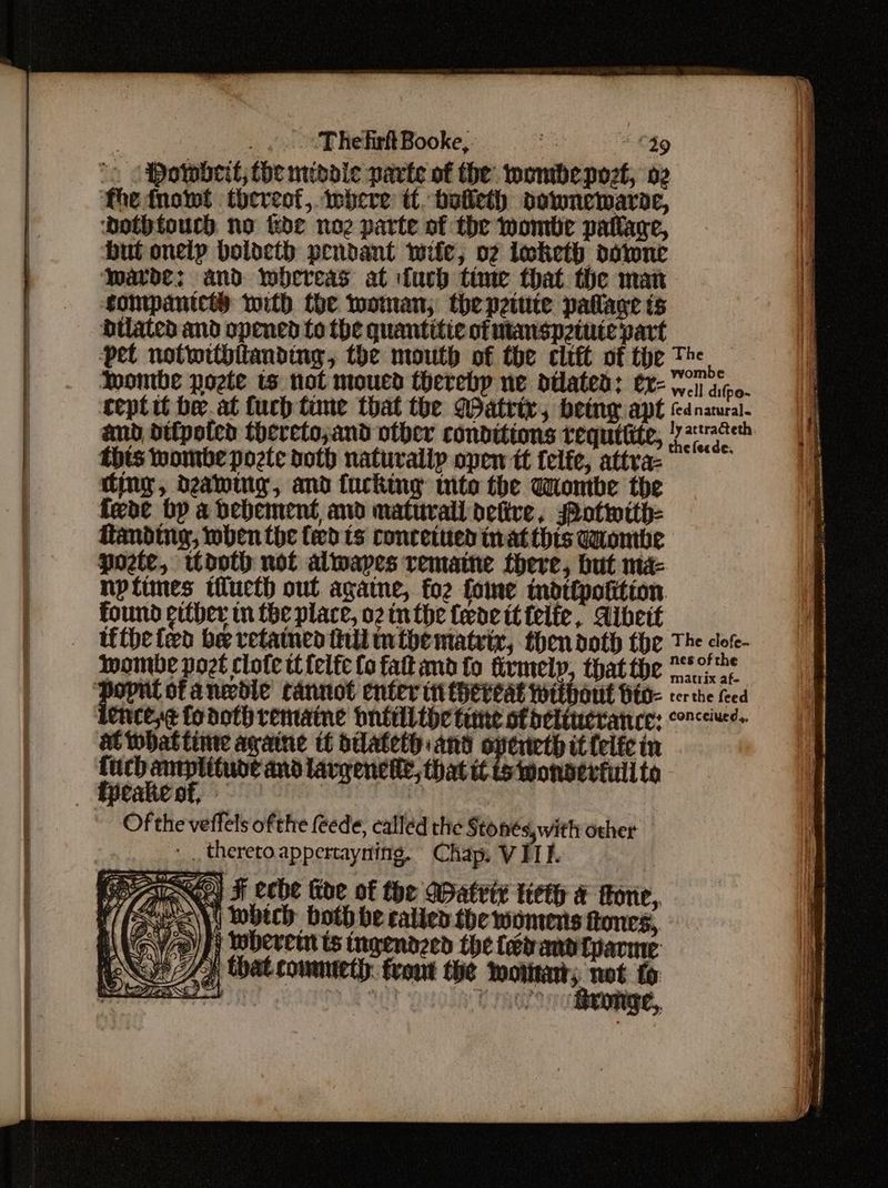‘Thefirft Booke, set “ ©39 “. | Powbeit; (he mcibole parte of the wembepoet, 02 the dnowt thereot, where tt. betieth downemarne, ‘bothfouch. no &amp;de noz parte of the wombe patlare, but onetp bolocth pendant wife, og loketh ootwne ‘Marde: and whereas at fuch time that. the man compantcey with the woman; the pete pallage ts Bilated and opened fo the quantitie of manspziuie part ‘Pet notwithitanding, the mouth of the clift of the The Iwombe pozte ts not moued thereby ne dilated: ex yo apo. cept it beat fuch time that the Matrix, being apt fd natural. and ditpoten thereto;and other conditions requttite, y= thts wombe Pozte doth naturally open tt felfe, attra- ding, deawuig, and fucking mito the dombe the feoe bp a bebement and maturall defive, Potwith- ftanding, wben the feed ts conceited inat this Gombe poete, itdoth not alwapes remaine there, but ma- nptimes tiucth out agatne, for {one modtlpotition found either in the place, o2 the ede ittelie, Aibett tftheted be vetamed ll mibematrix, then doth the The core- wombe pozt clote tt {elfe fo fatt amd fo firmely, thatthe of gl itofa needle tantot enter iit Herveat wi bout fito- terthe feed lencexg fodothremaine bntiilthe time of beliucrance: conciue- at what time againe tf ddateth and oveneth it felfe in fuch anplituoe and lavgenchle, that i tswonderfuil to _ Epeakeof, : Of the veffels ofthe ede, calléd the Stones, with other |. thereto appertaynting. Chap, VITI.
