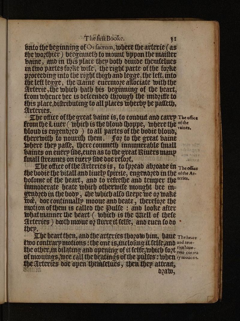 Brto the beginning of Os faccum, where the arteric (as the woethier ) beeginnet) to mount bppon the matiter baine, andin this place thep both dtutde theurtelues infin partes toziie wile, theright parte ofthe forke Hagen into toe vight thigh and legac, the left, into the lettleqge, the Maine eucvmoze alloctate mith the artevie the which hath bis beginning of the heart, from whence hee ts detcended theough the midettie to ae place,dtiivibuting to all places wwberbp be paticth, Whe office ofihe great Haine ts, fo condud and CAvvp The office FromtpeLtuer ( which isthe bloud hoppe, where tye fre bioudtsengendecd ) foall partesofthe bodiebloud, =~ Cherewith to nourith them. Foz to the great bane | Where thep palle, there conmeth innumerable fmall Haines on eucryp tide,ecuen as to the qveat Riuers many final frreamnes on euerp fide aay NORIO is) - Whe office ofthe drteviests, folpzead abgoade tt tre ofice {he boote the hitall and lively Cprrete, enpendeed in {he ofthe ar. bofome of the heart, and to vefvethe and tenmper the immooerate heate which otherwife mought bee in- Hendzedin thebodp , the which allo fleepe we o2 make low, doccontinuallp mooue and beate, therefoze the motion of them ts calied the Pulte ; and looke after what manner the heart (. wbich is the Well of there Arteries ) doth maue o2 livre ttielfe, andcuen {odo ° - The heart then, and the arteries thogow bint, Haul theheais foo contrary motions: the one ts,thcloting tt felfeand and sne- the other,t dilating and openiriy of it ielte;whtch fo2t oye conn of moutngys, wee call the beatings of the pultess when sy moons. the Arteries dot open-themietucs, then they yor, Cott fio ea 3