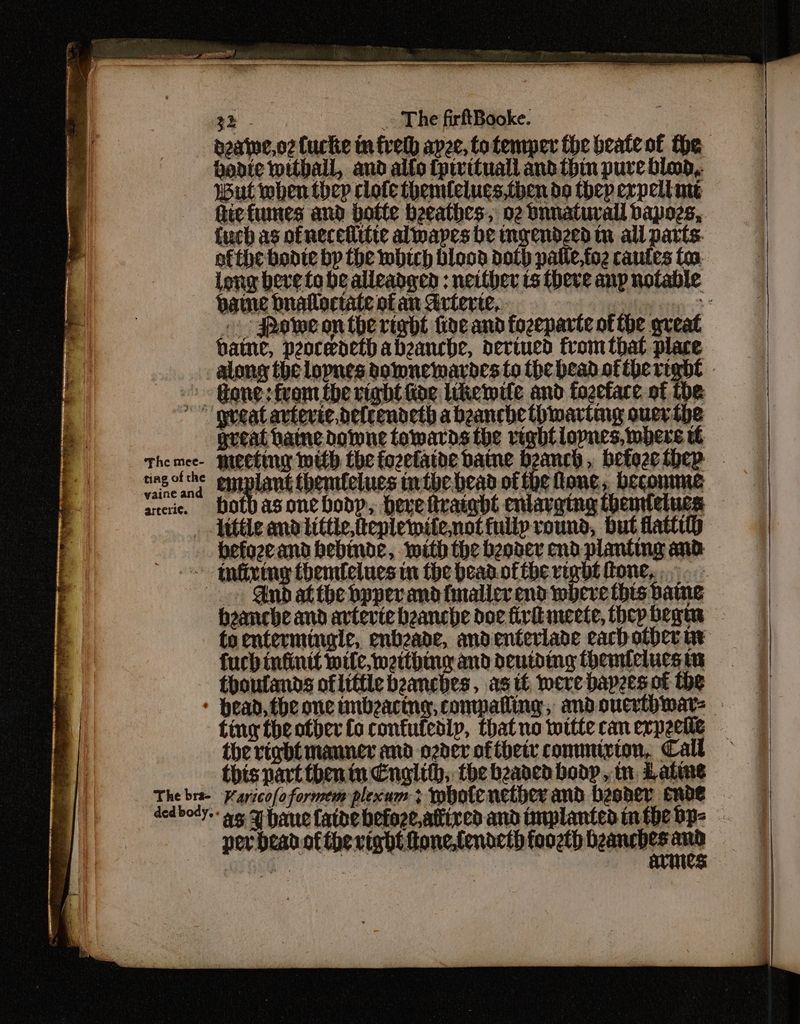 bonte withall, and alto tpivituall and thin pure bid, wut when thep clote themfelues,then do thep expelt met hiefumes and botte beeathes, o2 Dnnaturall Dapogs,. {uch as of necetittte alwapes be ingendzed ty all parts. ofthe boote bp the which blood doth patle,foz cautes toa. long beve to be alleadgen : neither ts theve anp notable bane bnalloctate of an Arterie | . Powe onthe right five and fozeparte of he great | paine, peoceoetbabzeanche, deriued fromtbat place Gone: from (her ae itkemite and fozefare of The mee- ting of the yaine and arteri¢. great bane done towards the vightlopnes, bere tt meeting with the fozefatde batne peel , befozethep ri, pipet ting inthe bead of the Mone, beconme both as one boop, herve ttraigt enlarging thenrtetues befozeand bebinde, with the bender end planting and - Gnd at the bppevand finalier end where this bane heanche and artevte beanche doc firkmecte, thep began toentermingle, enbzade, andenterlade eachother ur fuch infinit wile, wetthing and deutding themielucs in thoufands of little beanches, as it were bapees of the fing the other fo confutedip, thatno wittecanerpeelle — the vigbt manner and ozder oftheir commirion, Call — this part tben in Englith, the beaaed boop, tn. Late per head ofthe right Gone,tendeth tooth eects her