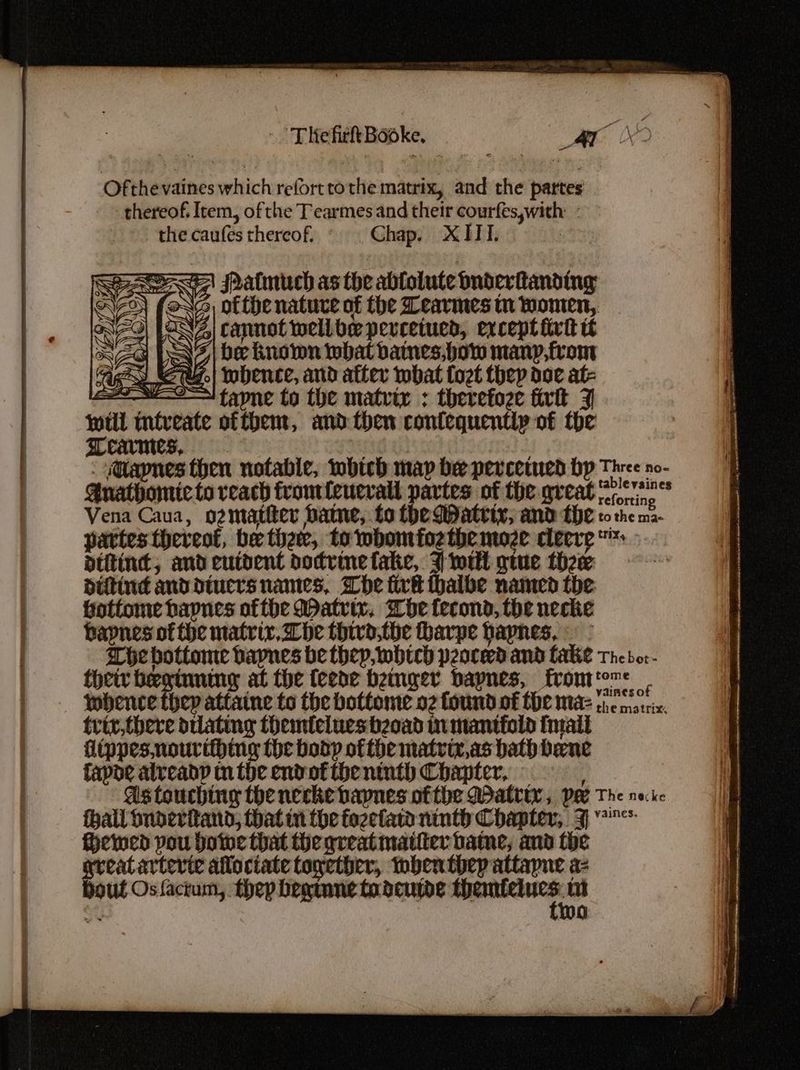 - ThefithBooke, Bs Ofthevaines which refort tothe matrix, and the partes «thereof. Item, of the Tearmes and their courfes,with < the caufes thereof. Chap. XIII. owe Palmuch as the abtolute dnderftanding Na, ofthe natuce of the Learmes m women, NA | cannot wellbe peveetued, except tirtt tt 1 NF | bee Known what bamnes, how many,from 25 z.| whence, and after what fozt thep doe at- ———tapne to the matrix ; therefoze firit 7 will tntveate ofthbem, and then confequentiy of the Tearmes, ist id. - @apnes then notable, mbich map be pevcetued bp Three no- Anathomie to veach frontleurvall partes of the great rene Vena Caua, ogmatiter hame, to the Mattty, and the co the ma- partes therent, be thze, to wbomioe the moze cleere diftind; and cutdent doctrine fake, J wilt gue thee diftind anddiucrs nantes, Whe fire thalbe named the. frottome bapnes ofthe Matrix, Whe fecond, the necke bapnes of the matrix, Lhe thivd,the tharpe haynes, - Whe bottome haynes be thep, which peoced and fake The bor- thew we ona at the feede bemger baynes, fronton: — Whence th epattaine to the bottome o2 found of fhe mae ee matrix. trix,there dilating themleluesbzoad inmantiold fmiail fitppes,nourithing the body ofthe matviz,as bath bene fapoe already the endotibentnth) Chapter, dstouching the necke bapnes ofthe Dattrty , Pe The neice hall buderttand, that it the fozefara ninth Chapter, 3 Hemed pou hove that the great matter bame, and the greatarteric allociate together, oben thep attapue a- bout Osfactum, thep Deginne tfadeurde amen nt sq wn