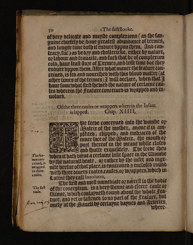 i va ir we A | I Bes Hl vi so «The firhBooke. nfherp delicate and mopite comtplertons (as tbe fan- guine chiefelp be)baue gueated abundance of tevines, amid longer time doth tt endure dDpponthem, And core travp, uc) as bedep and chollevicke, either bp nature, o2iabour and trauatie, and fuch that be of compierton colo, banc leat Goze of Lermes,and leile time doe thep endure bpponthem, After what mance the feature con- cecued, ts fed and nouvtthed with this bloud matter (at other times oftpetermes) 7 willdeclave, when that 4 haue fomewwbat fir heme the nature of cevtame cau- ipa the Feature concetucd ts weapped and wie ~.-<Ofthe three caules or wrappers wherein the Infant. seen te feene.concepued into the mombe oz syzZo| Matrix of the mother, anonetl1s a= Asn pieced; clipped, and emb2aced. of the © roner face ot the Watvix, the mouth oz