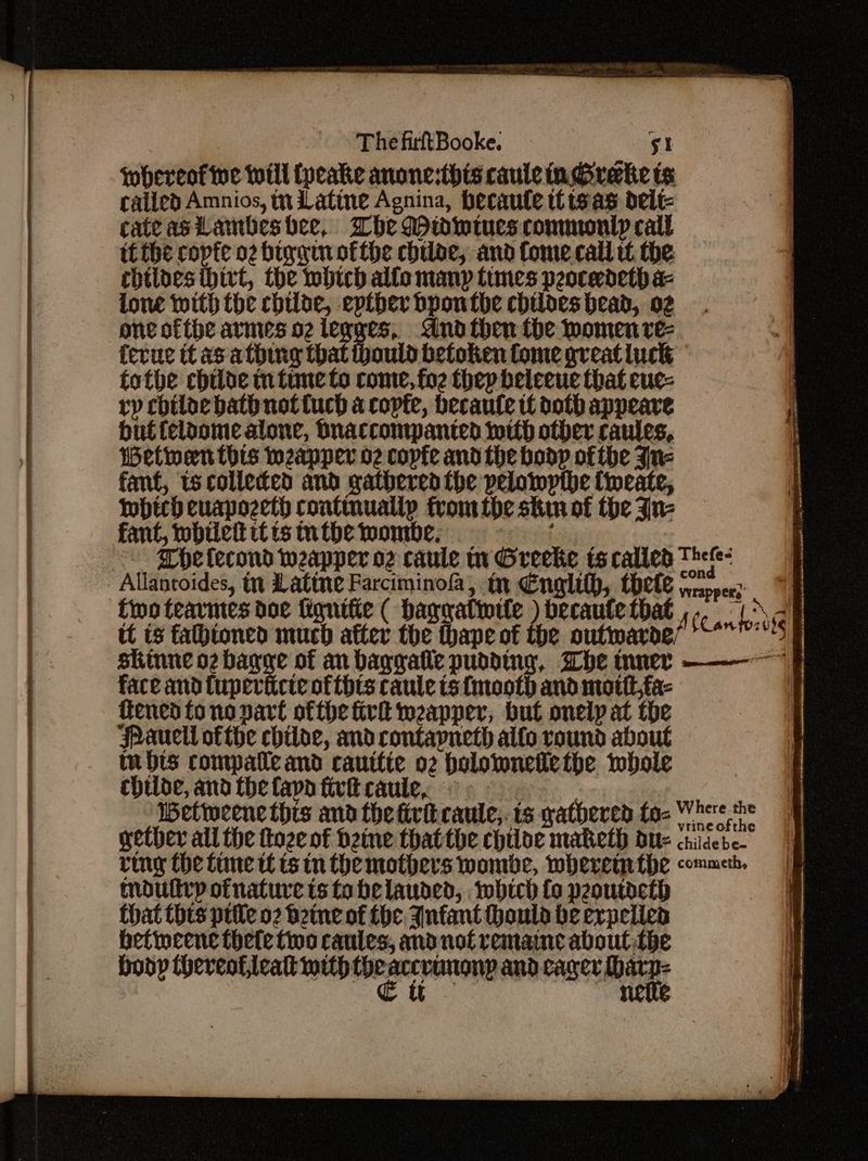 om EB gt OR ee a, TE ETS, Se Se ER PE RT Ge Be REGO RAE EPS The firBooke. gi one ofthe armies 92 leyges, dnd then the women ve: betiocene thete foo caules, and not remaine aboutthe boop thereofleatt with ties accrimony and cager gies Se : e iq if {i 4 i | is : it