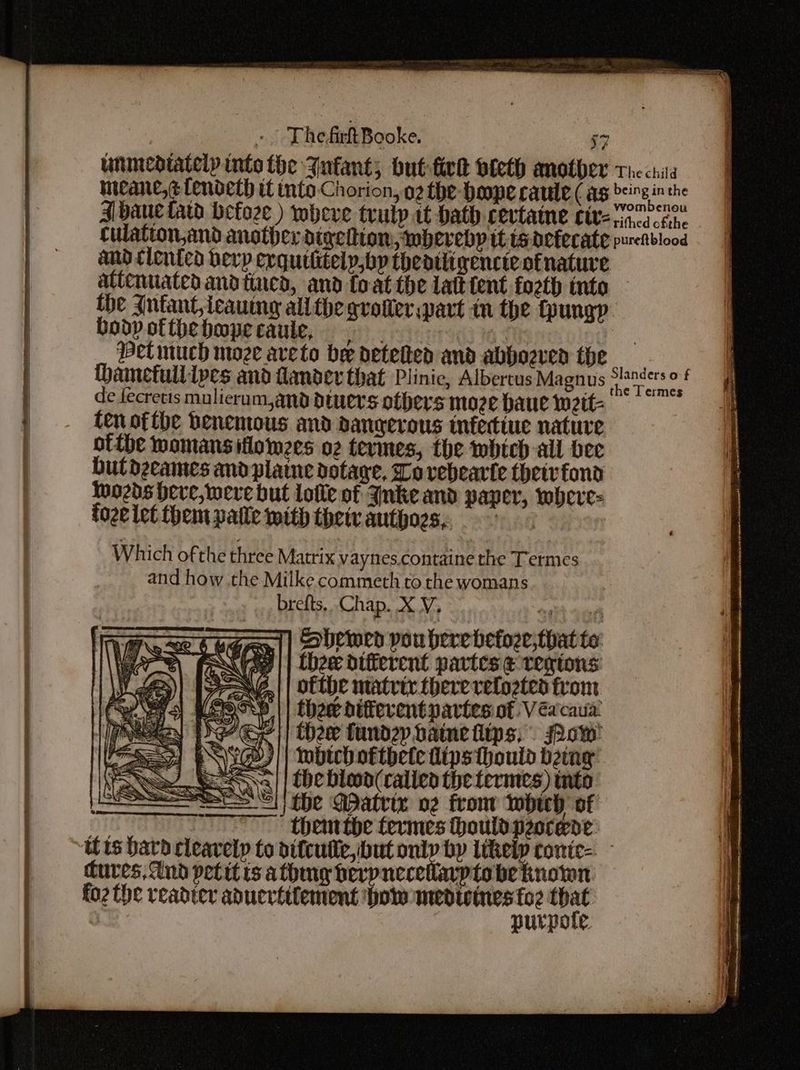 | «. ThedirtBooke. | :7 unmedtately into the Junfant; but fick oteth another the crits micane,¢ Lendeth tt into Chorion, o2 the boope rauile ( as being inthe Ji bane fatd befoze ) mbeve trulp it bath cevtame tive frien Culatton,and another digeltion, whereby tt ts.detecate purettblood and clented bevp erquititely,by theatiigencte of nature attenuated and tincd, and foat the latt tent fo2th tnto the Infant, icauing all the growerpart m the toungp bodpofthehbmpecaule, | 3 Petmuch moze aveto be deteked and abboeven the thamefull pes and lander that Plinic, Albertus Magnus yeaa de fecretis mulicrum,and diners others moze haue wett- Cen ofthe benemous and dangerous infeciue nature otthe womansiflomees o2 termes, the whteh all bee butdzeames and platne dotare, Lo vebearte theivfona Inozds heve, were but lotle of Jnke and paper, where: foze let them patie with thew authors, Which of the three Matrix vaynes.containe the Termes and how the Milke commeth to the womans brefts, Chap. X Y, . Sbemed pou berebefore,that te Chew different partes e trentions /,| | ofthe matrir there reloeted from LOSS || Chew diferent partes of: Véacaua LY Ge || thew fundzy baine fips; Pow! 1G))/| twbtchoftbete itps thould detng ESNa| | (oe biwa(caliea the termes) wnto- at) fhe WDatrix o2 front which of oF : them the termes houldpeorede. its hard cleavelp to ditculle, but atte likeip tonic= cures, And petit is athng berpnecellarpto be known fo2 the readter aduertifement ‘how medivines fo? ee : purpote