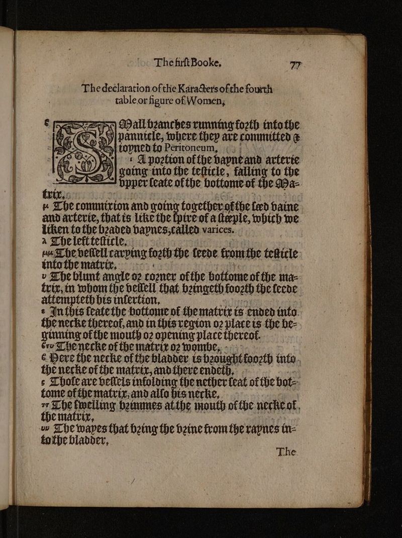SH Wallhzanches running fo2th intotbe 2 /(PN =| panntele, where they are committed e 7S topnedto Peritconeum, ; . ‘ae ea) Yes} © A poztton of fhe hapneand arterte ai wong into the tefticle, falling to the * bpper feate ofthe bottome of the Mae trix: ¥ be conmnizion and rot toxether ofthe feed haine and artevie, that ts like the fpive of a feeple, which me a ve tbe Anish hapnes,called varices. a Thelett eu sr he Settrtl cavping foeth the teene from the tefticle: tntotbhe matrix, v The blunt angle o2 cooner ofthe bottome of fhe ma-- trix, in whom the deilell Chat beinaeth foozth thefecne attempteth bts tntertion, e Inthts featethe bottome of the matviz ts: ended into. ihe necke thereof, and inthis region o2 place ts the be- rinning ofthe mouth o2 opentng place thercot. ero he necke of the matrix o2 wombe, 6. Deve the necke of the blandev ts beougbt foozth into. the necke of the matrtz, andthere endeth, s Chote ave belicis infoloing the nether feat of the bot: fome ofthe matrix, and alfo bis necke,. pos peelling betmmes atthe mouth of the necke af. ema ra Eoeiwabes that Hemng the bene from fhe yapnes in: Ebi