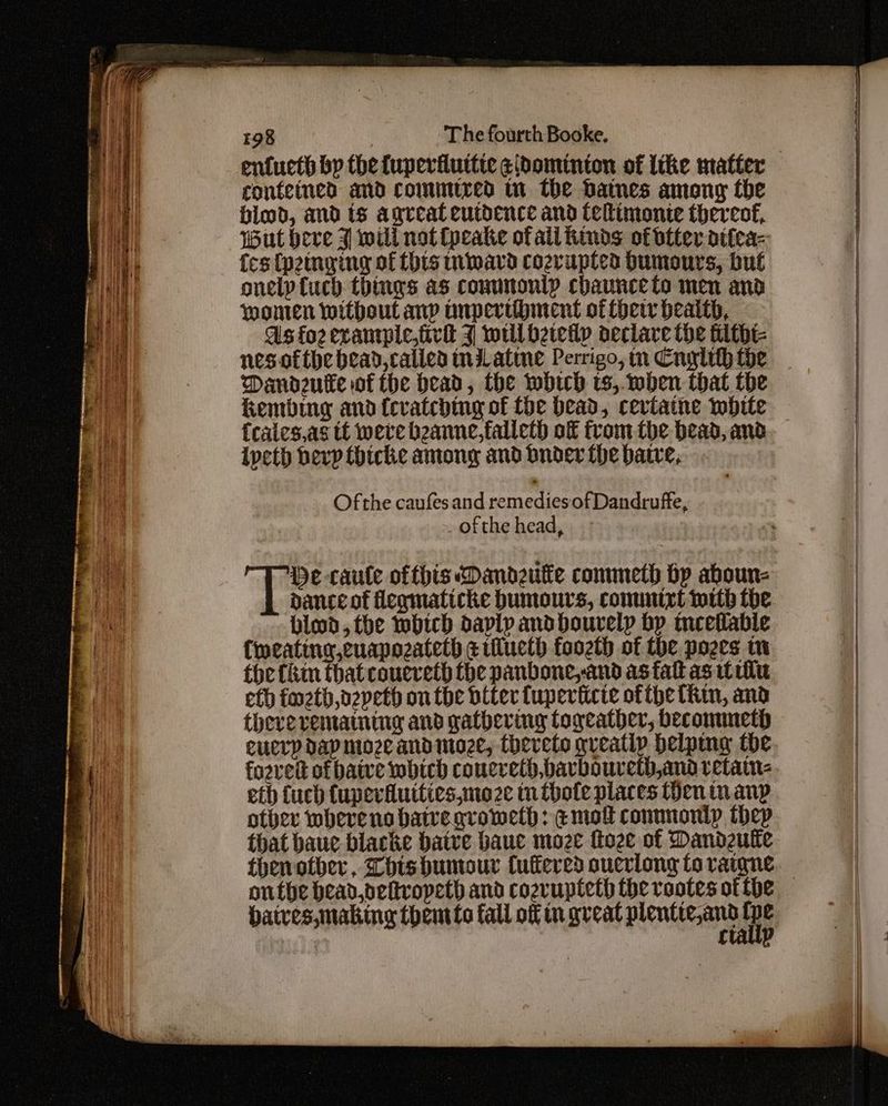 conteined and commired tn the Danes among the blod, and ts agreateutdence and felimonte thereof. Wut here J will not (peake of ali Kinds of btter atiea- {es (p2inging of this ward cozvuptea Humours, but onelp fuch things as couunonip chaunceto men and women without anp unperubment of fhetr health, As fo2exanple,iivk J will beteilp aeclave the hlthi- nes ofthe bead, called inilatime Perrigo, m Cnyglth the Dandzutfe of the head, the which ts,.wben that the Kembrng and {evatching of tbe bead, cevtaine white ipeth herp fhicke among and bnder the hate, Ofthe caufesand rem ediesof Dandruffe, ofthe head, dance of flegmaticke humours, conuntyrt with the bled, the which daply andbouvely bp teeflable {wweating cuapozateth ¢ilucth foozth of the poges m the fkin that couereth the panbone,and as fal as itil eth fazth,oeveth on the diter fuperticte ofthe fhm, and there rematning and gathering togeatber, becommeth eucrp dap moze andimoze, thereto gveatip belpmg the fozved of baive which couereth,bavbouveth,and retatn- eth fuch fuperfutties,moze tn Chote places Hen inanp other wherens baivegrometh: emo connnontyp thep that baue blacke baive bauec moze foze of Dandeute Datves,making themto fall of in great plentiesant : c