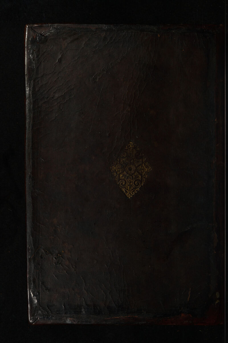 No text description is available for this image