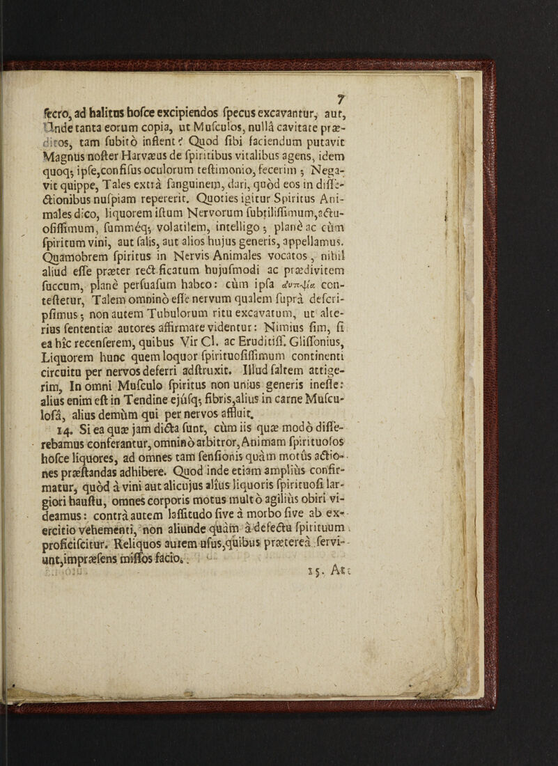 fecro, ad halitas bofce excipiendos fpecus excavantur, aur, Inde tanta eorum copia, ut Mufculos, nulla cavitate prar- H.eos, tam Cubito inflent i Quod fibi faciendum putavit Magnus nofter Harvasus de fpiritibus vitalibus agens, idem quoq*, ipfe,confifus oculorum teftimonio, fecerim *, Nega¬ vit quippe, Tales extra fanguinem, dari, quod eos indifi;- dionibus nufpiam repererit. Quoties igitur Spiritus Ani¬ males dico, liquorem iftum Nervorum fubtiliffimum,aftu- ofiffimum, fummeq-, volatilem, intelligo ^ plancae cum fpiritum vini, aut falis, aut alios hujus generis, appellamus. Quamobrem fpiritus in Nervis Animales vocatos, nihil aliud effe prreter red ficatum hujufmodi ac prtedivitem fuccum, plane perfuafum habeo: cum ipfa «imq/a ccti- teftetur, Talem omnino efie nervum qualem fiipra deferi- pfimus-, non autem Tubulorum ritu excavatum, ut alte¬ rius fententia; autores affirmare videntur: Nimius fim, fi ea hic recenferem, quibus VirCh acEruditiff. Gliflonius, Liquorem hunc quem loquor fpirituofiifimum continenti circuitu per nervos deferri adftruxit. Illud faltetn attige¬ rim, In omni Mufculo fpiritus non unius generis inefle: alius enim eft in Tendine ejufq-, fibris,alius in carne Mufcu- lofa, alius demum qui per nervos affluit. 14. Si ea qute jam dida funt, cum iis qua; modo diffe¬ rebamus conferantur, omnino arbitror, Animam fpirituofos hofce liquores, ad omnes tam fenfionis quam motus adio- • nes prseftandas adhibere. Quod inde etiam amplius confir¬ matur, quod a vini autalicujus alius liquoris fpirituofi lar¬ giori hauftu, omnes corporis motus rnult o agilius obiri vi¬ deamus: contra autem laffitudo five a morbo five ab ex-- ercitio vehementi, non aliunde quam a defedu fpirituum . proficifcitur. Reliquos autem ufus,quibus prteterea. fervi-- unt,impraefens miffos facio». .{'.ili. - 35. Atu