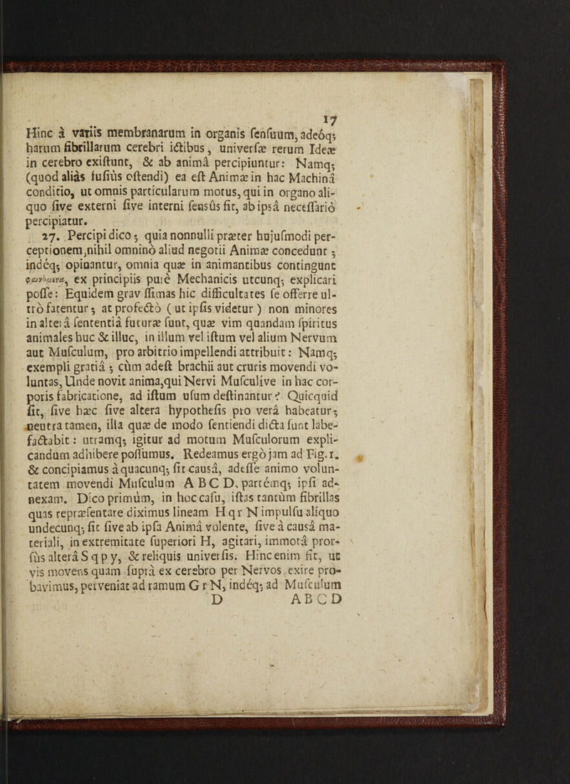 Hinc i vaTiis membranarum in organis fenfuum,ade6q; harum fibrillarum cerebri idiibus, univerfa? rerum Idea? in cerebro exiftunt, & ab animA percipiuntur: Namq* (quod alias fufius cftendi) ea eft Anima? in hac Machina conditio, ut omnis particularum motus, qui in organo ali- I quo five externi five interni fensusfic, ab ipsa neceffario percipiatur. 27. Percipi dico* quia nonnulli pra?ter hujufmodi per- ceptionem^nihil omnino aliud negotii Anima? concedunt 5 | indeq* opinantur, omnia qua? in animantibus contingunt ex principiis puie Mechanicis utcunq*, explicari poffe: Equidem grav ffimas hic difficultates fe offerre ul¬ tro fatentur 5 atprofedlo (ut ipfis videtur) non minores in altet a fententia futura funt, quae vim qaandam fpiritus animales huc & illuc, in illum vel iftum vel alium Nervum aut Mufculum, pro arbitrio impellendi attribuit: Namq^ exempli gratia •, cum adeft brachii aut cruris movendi vo¬ luntas, Unde novit anima,qui Nervi Mufculive in hac cor- | poris fabricatione, ad iftum ufum deftinantur *? Quicqaid fit, five ha?c five altera hypothefis pro vera habeatur- .neutra tamen, ilia qua? de modo fenciendi didta funt labe¬ factabit : utramq* igitur ad motum Mufculorum expli¬ candum adhibere pofliimus. Redeamus ergo jam ad Fig.i0 & concipiamus aquacunq-, fit causa, adefle animo volun¬ tatem movendi Mufculum A BC D,partemq-, ipfi ad¬ nexam. Dico primum, in hoccafu, iflas tantum fibrillas quas repra?fentare diximus lineam H.qr N impulfu aliquo undecunq-, fit five ab ipfa Anima volente, five a causa ma¬ teriali, in extremitate fuperiori H, agitari,immotapror- fus altera S q p y, & reliquis univerfis. Hinc enim fit, uc vis movens quam fupra ex cerebro per Nervos exire pro¬ bavimus, perveniat ad ramum G r N, indeq-, ad Mufculum D ABCD