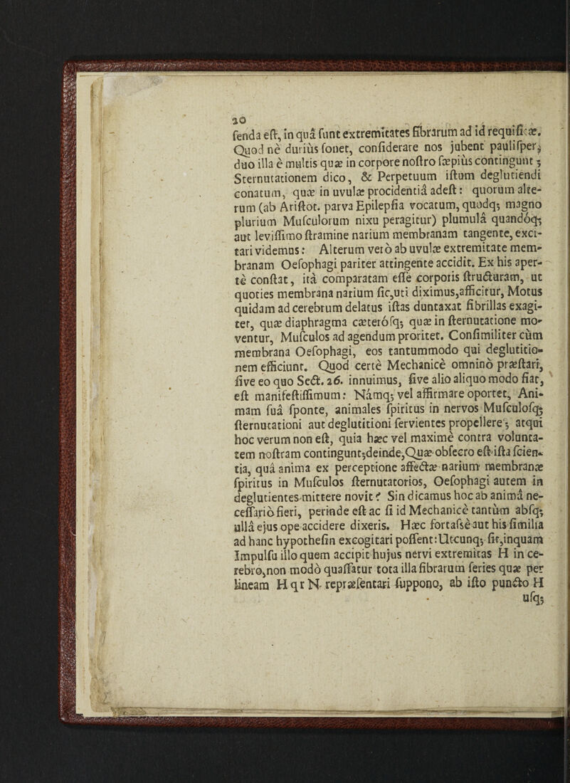 ' ■ ■  fenda eftr, in qua funt extremitates fibrarum ad id requifras. Quod ne durius fonet, confiderare nos jubent paqliTper^ duo illa e multis quae in corpore noftro fepius contingunt 5 Sternutationem dico, & Perpetuum iftum deglutiendi conatum, quae in uvulas procidentid adeft: quorum alte¬ rum (ab Ariftot. parva Epilepfia vocatum, quodq? magno plurium Mufculorum nixu peragitur) plumula quandoq? aut leviflimoftramine narium membranam tangente, exci¬ tari videmus : Alterum vero ab uvulas extremitate mem¬ branam Oefophagi pariter attingente accidit. Ex his aper¬ te conflat, ita comparatam efle corpotis ftrudluram, ut quoties membrana narium fic,utt diximus,afficitur, Motus quidam ad cerebrum delatus illas duntaxat fibrillas exagi¬ ter, quas diaphragma caeterofq* quas in fternutatione mo¬ ventur, Mufculos ad agendum proritet. Confimiliter cum membrana Oefophagi, eos tantummodo qui deglutitio¬ nem efficiunt. Quod certe Mechanice omnino prasftari, five eo quo Sedi. ad. innuimus, five alio aliquo modo fiar, eft manifeftiffimum: Namq-, vel affirmare oportet. Ani¬ mam fua fponte, animales fpiritus in nervos Mufculofqj fternutationi aut deglutitioni fervientes propellere •, atqui hoc verum non eft, quia hascvel maxime contra volunta¬ tem noftram continguntjdeindejQuas obfecro eft ifta fc i en¬ tia, qua anima ex perceptione affedtae narium membranas fpiritus in Mufculos fternutatorios, Oefophagi autem in deglutientes mittere novit i Sin dicamus hoc ab anima ne- cefTa.riofieri, perinde eft ac fi id Mechanice tantum abfq-, ulla ejus ope accidere dixeris. Haec fortafseaut his fimilia ad hanc hypothefin excogitari poffent:Utcunq-, fit,inquam Impulfu illo quem accipit hujus nervi extremitas H in ce¬ rebro, non modo quaffatur tota illa fibrarum feries quae per lineam HqrN repraefentari fuppono, ab ifto pundio H ufq;