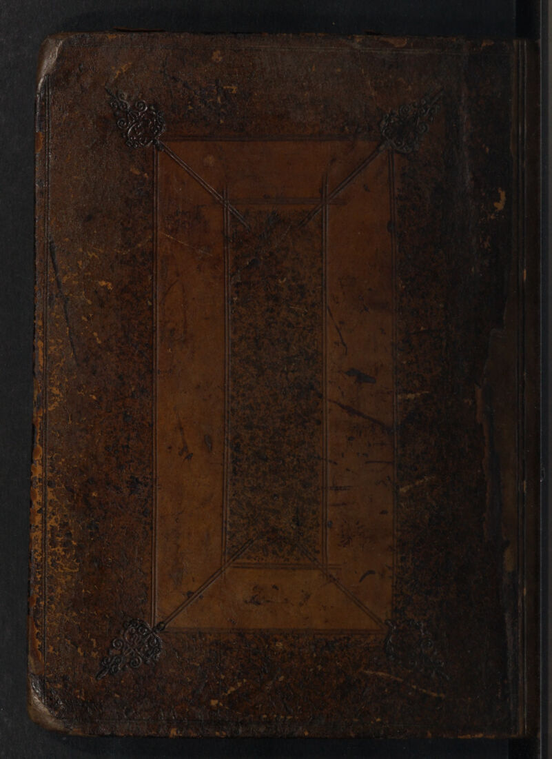 No text description is available for this image