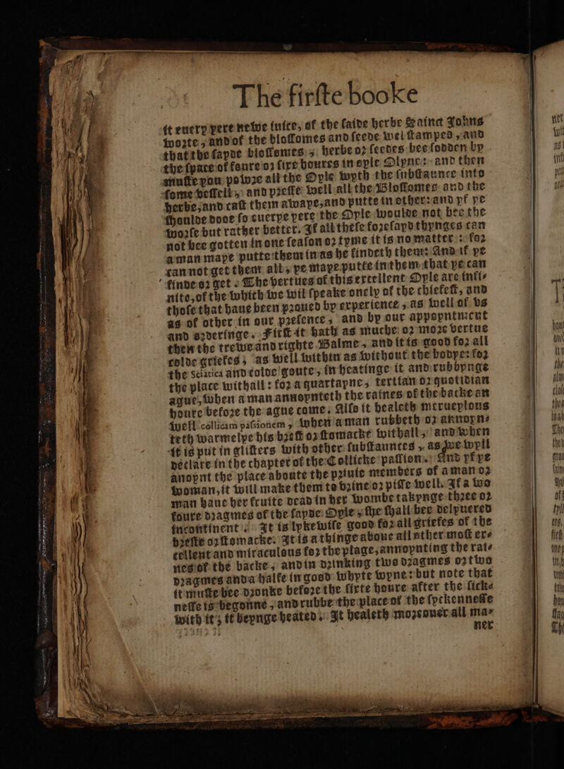 nye — The firſte booke it enerp pere newe luice, of the faite herbe Saint Johns woꝛte, and or the blofomes and ſeede wel ſtamped, and that the ſapde bloſlsmes , herbe oꝛ ſeedes bes lodden by muſte vou po boꝛe all the Ople wyth the ſubſtaunce into tome veſfell, and pꝛeſte well all the Bloſlomes and the herbe, and cat them awape, and putte in other: and pf ye fhauloe dooe fo cucrpe pere the Ople woulde not bee the woꝛſe but rather better. Ik all theſe kozeſapdthynges can not bee gotten in one ſeafon oꝛ tyme it is no matter: fo2 a man mape putte them in as he findeth them: And ik pe tan not get them all, ve mape putte intbhem that pe can nite, of the which we wil ſpeake onelp of the tchiefeſt, and thoſe that haue been pꝛaued by erperience, as Well af bs as of other in our pretence, and by our appopntment and szderinge. Fitſt it bath as muche 02 moꝛe vertue then the tree and righte Balme, and it is good fo2 all colde griekes; as well within as without the bodpe: fo2 the sciatica and tolde goute, in heatinge it and rubbynge the place withall: foz a guartapne⸗ tertian oz quotidian ague, when aman annopnteth the vafnes of the backe an houre before the ague come. Aife it healeth merueplous {well collicam paſsionem, When à man rubbeth oz annopn⸗ teth warmelpe his bref 02 ſtomacke withall, and when it is put in gliſters with other lubſtauntes , 7 iwril peclare inthe chapter of the Collicke palllon. And piye anopnt the place aboute the pꝛiuie members of aman oz man haue her fruite dead in her wombe takynge thee 02 foure dꝛagmes of the faye: Ople, fhe ſhall bee delpuered in continent. It is lpkewiſe good forall griefes of the bꝛeſte ozſtomacke. It is a thinge aboue alletber moſt ex⸗ cellent and miraculsus fo the plage, annopnting the rate nes ot the backe, and in oinking tivo dꝛagmes oz two dꝛagmes anda halke in gosd whyte wypne: but note that it muſte bee dꝛonke before the firte houre akter the ſick⸗ neffe is begonne, and rubbe the place ot the (pckennede with it; tt beynge heated . It healeth mozeouer all ma- 22231 ner