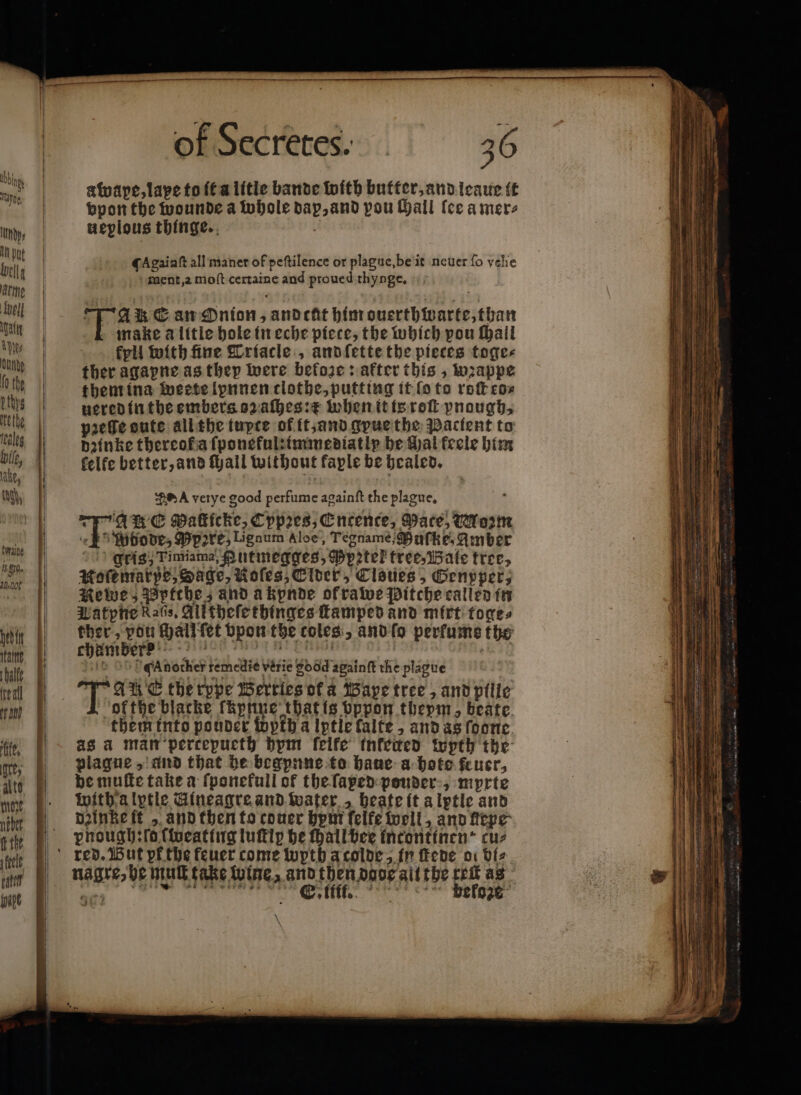 of Secretes. 36 atvape,lape to it a litle bande with butter, and leaue it vpon the wounde a whole dap, and pou Hall {ce a mer⸗ ueplous thinge. 0 CAgaiaſt all manet of peſtilence or plague, be it neuer fo velie ment, 2 moſt certaine and proued thynge, Tak an Onion, and tut him ouerthwarte, than make a litle hole in eche piece, the which pou ſhall kpll with fine Triacle, andſette the pieces toge⸗ ther agapne as thep were before: after this, wꝛappe them ina weete lynnen tlothe, putting it fo to roſt cos uered in the embers oz aſhes:c when it is roſt pnough, pꝛeſſe oute all the tupte of it, and gyue the Pacient to dzinke thereof a ſponeful:immediatlp be Hal feele him felfe better, and fail without faple be healed. DA verye good perfume againſt the plague, a FAR C Makicke, Cppꝛes, Entente, Mace, Worm 6 pode, Mpere, Lignum Aloe, Tegname, Muſke, Amber gris, Timiama, Autmegges, Pypetel tree, Bale tree, Noſcmarpe, Sage, Koles, Elder, Claties , Genpper, Rewe; Pptthe, and a kynde ol rawe Pitche called in Watphe Rats, All theſe thinges ſtamped and mirt toge⸗ ther, pou challſet vpon the coles, and ſo perfume the ehümsere n an munen 1 i 829 Another temedie verie good againſt the plague ofthe blacke ſkynne that is bppon theym, beate them into pouder topth a lptie lalte, and as ſoone as a man percepueth hym felfe tnfeaed wpth the plague, and that be begpnne to haue a hote feuer, be muſte take a ſponekull of the ſaped pouder , mprte with a lptle Gineagre and water, heate it a lptle and dainke it „and then to couer hym ſelfe well, and flepe phough:ſo ſweating luſtip he ſhall bee incontinen ! cuz nagre, he mull take wine, and then dode all the rei as r ee