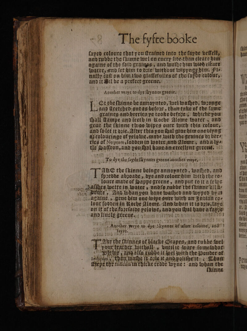 and rubbe the lkinne wel on euery lide than cleare him againe of the ſaid grains, and wache him with eikare water, and ſet him to date! ‘without Wipynge him. Fis. nally cat on him two alaffefuiles of thefapoe colons, and it il be a pastes greene. Another yaye to dye fey unes e Et the ckinne be annoynted, wel walhed⸗ w ange and ſtretehed gut as before, than take of the fame graines and berries pe tooke befoze , whiche pou call ſtampe and ſeeth ein Noche Alome water, and geue the fkinne twoo wipes ouer with this colour, and ſo let it dꝛie. After this pou thal giue him one dipng az tolouringe of pelowe, made with the graines dꝛ ber⸗ tries of Nerptum, lodden in water and Alome, and a ly⸗ tle enen vou Hal bane, an em e To dye the faye fkynnes greene aiotber wey pte the (kinne beinge annopnted, waſhed, and pꝛedde abzoade, dye and colour him With the coz 115 made of Happe greene, and put toit a fewe athe wette in water, and ſo rubbe the ſkinne ail a- Pute, And whan pou haue walhed and wpped hym (j -agatine, , geue him one wipe ouer with an Indian co⸗ leur ſodden in Koche Alome. And whan it is dio, lape | e greene. is 137 fayfe. 4310 Wiles , and alla xubhe it wel with the Wonder of iadieun; that wache it die it and poliche it Than iteps th? eum in thicke redde Wpne: and e the nne (Bint