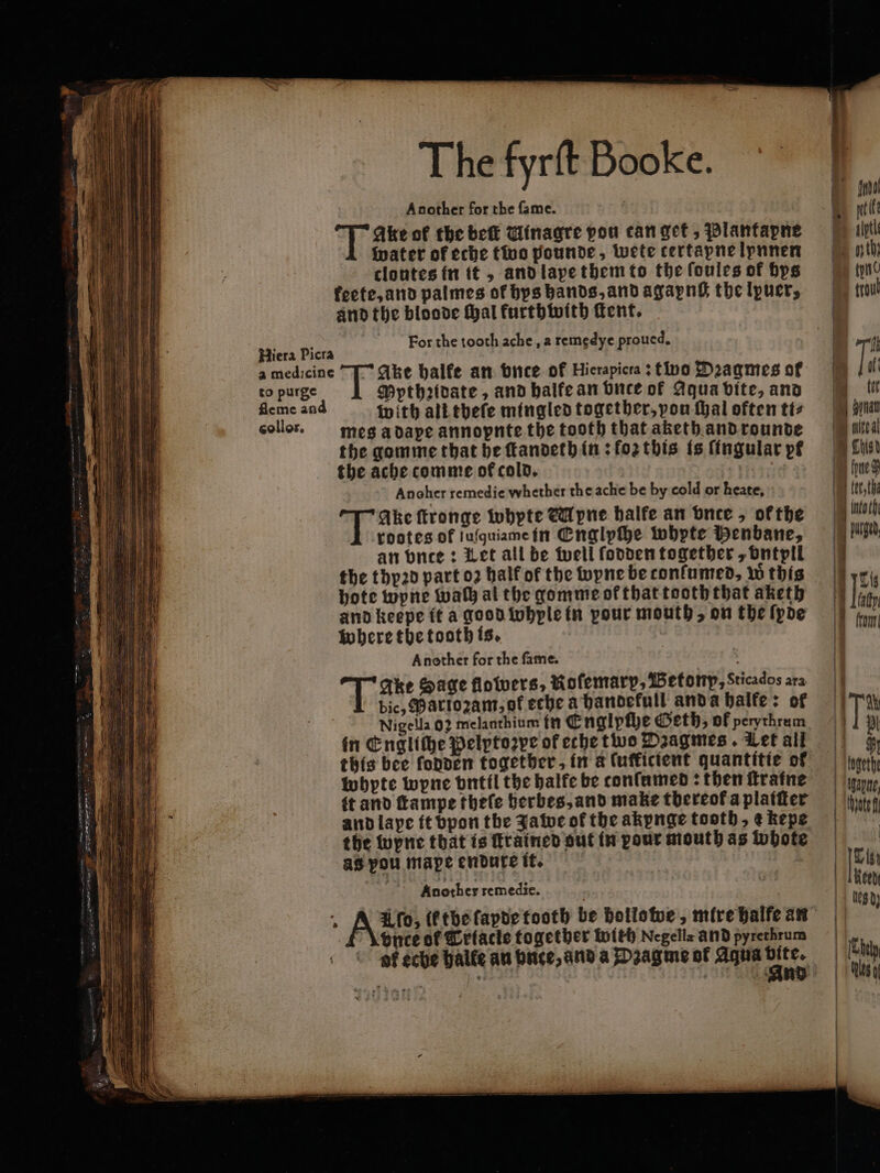 Ake of the be Winagre pou can get, Plantapne water of eche two pounde, wete certapne Ipnnen keete, and palmes of bys hands, and agaynſt the lpuer, and the bloode thal kurthwith ſtent. For the tooth ache, 2 remgdye proued. to purge feme and collor. Mpthꝛidate, and balfe an bnce of Aqua bite, and with all thefe mingled together, vou thal often ti⸗ mes a dape annopnte the tooth that aketh and rounde the gomme that be ſtandeth in: for this is ſingular pf the ache comme of cold. | Anoher remedie whether the ache be by cold or heate, Ake ſtronge whyte Gd pne balfe an vnce, ok the rootes of ſuſquiame in Englyſhe whpte Henbane, an vnce: Let all be well ſodden together, bntpil the thyꝛd part oꝛ half of the wyne be confumed, w this bote wpne wach al the gomme of that tooth that aketh and keepe it a good whyple in pour mouth, on the ſyde where the tooth is. | Another for the fame. 5 Ake Sage flowers, Rofemarp, Betonp, Sticados ara bic, Pariozam, of eche a bandefull and a halfe: of Nigella 02 melanthium in Cnglpfhe Geth, of perythram in Englithe Pelptoꝛpe of eche two Maagmes. Let all this bee fonden together, in a (uffictent quantitie of whypte wpne bntil the balfe be conſumed: then itrafne tt and ſtampe thele herbes, and make thereof a platter andlape ft bpon the Jawe of the akynge tooth, e kepe the wyne that is Trained sut in pour mouth as whote as you mape endure it. Another remedie. TX nce of Triacle together with Negellz and pyrethrum | | | Lisi | Reed |} Nega) | [Etap MT