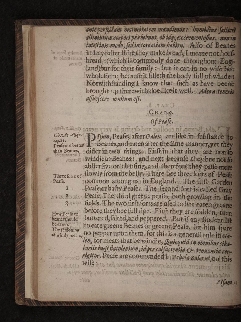 mprxbebmt, eb idfo excrmentofins^ non in interim mdo^fedm tot ostiam habitu. Alfo of Beanes inLeyeefter fhire they make bread; I memenothorfc breadr (which iscornmonly done throughout Eng- land)but for their family: but it can in no wife bee whale fome^ becatife it fiilech the body full of windc: Notwkhftanding I know that foch as have beene brought up therewith doe like it well. Adeoa teneris ajfuefcen muhnm eji. Q er a ? > i than Beanes. Id junta oiiT ,z: it.-R -Chap,#. $$ >J of Peafe. ' * > - V ' : '  ;;f Lib.xM au-{a. ifum, Peafe5 afrer Galen, are like in Yubftasce to pSi'are better £ Beanes,and eaten after the fame manner3yet they ' ,,flr in tWo things. Firft in that they are not io and next beeaufe they bee not fo abfterhveor eteniitig^arid therefore they pafle more Thrceforts of howiy from the belly. There bee three forts of Peafe Peafe. common among us in England. The firft Garden i Peafeor hafty Peafe. The fecond fort is called Gray Peafe. The; thkdgreene peafe; both growing -ia the two fkft forts are ufed tobee eaten greene How Peafe or v bee full ripe. Firftthey are fodden, then bcanesflisuid buttered3fak£d3and peppered. Butifany. {indentlift TtSoning Beanes or gpeene Peafe, let him fpare •fmdy meJls/10 PePPer upon there for this isa generall rule in G*- /e«,for meats that be v/mdie, gttkqmdin omnibus ciba,- bariis imftflatukntnm, idper calfadentia &amp; temtanth cer- rigitm Peafe are commended in S chela Sakmi on , .wifes-•.w o , ■ •• -v . T » ■ v4&amp; ■■..>v.. wv. »Y >.\v* +, t v P •.*\\« y ». f * . * iWw • \,\ 4 V, ,Qn this • • nr s *■ f > Pa . UT i JPifittn ;\