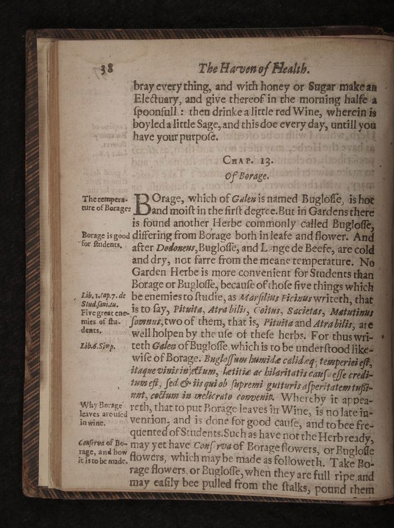 The Ea^ven of health. ; '“|J bray every thing, and with honey or Sugar make an Eledf uary, and give thereof in the morning halfe a fpoonfhll: then drinke a little red Wine, wherein is boylcd a little Sage, and this doe every day, untill you tl-a a 7 - - ■ -'t Chap. 13 Of-Swage* ' ■ The tempera¬ ture of Borage? ' -i . / I BOrage, which of Gdm is named Buglolle, is hot denes. f *;! Hb.6.Si®p. and moift in the firft degree. But in Gardens there is found another Herbe commonly called Buglofie, Borage isgood differing from Borage both in leafe and Bower. And for ftiidents. after BugiofTe, and Lunge de Beefe, are cold and dry, net farre from the meane temperature. No Garden Herbe is more convenient for Students than Borage or Bugloffe, becaule of thofe five things which / Lib.x.rap.j.d* be enemies to ftudie, as Marfditts Fici&amp;us write th that StudXariutU. % n _ •, / r. X * . 5 ■ Fire great cne** ^ Atfdbtlt* 3 SdClCtdS^ M&amp;tutittttS roies of ftu- fomrnr,two of them, that is, Pitmta and Atrabibs, are “r* well holpen by the ufe of thefe herbs. For thus wri- teth Gale® of Buglofie, which is to be underftood like- wiie of Borage. Bngkjjstw famtU calida^. tewperwejf, itaqw vims mje&amp;ttm, tetitis ac hihritatiseaufa eJTe credi- v tum M &amp; itsquiob fupremi gMtsrisafperitatem tuft- mt, ce&amp;um in welkmto ro&amp;vewP. Where by it arbea ES rccb>.thac ro P“ feaves iii Wine, is no late in- iowine, vention5 and is done for good caufe, andtobeeffc- quented of Smdents.Such as have not the Hcrbreidv prageflovvets, orBnglofle is to be mada which may be made as folfoiveth Take Bo- rage flowers or Buglojle, when they are full ripe and may eahly bee pulled from the ftalks, pound them