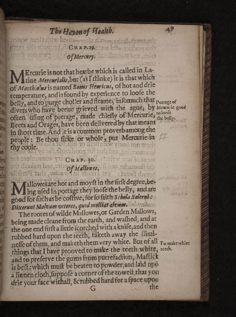 / ~1 i **>•<.* ft * ,\ I •H',; \ 4 ki'i « II i; M If '{tit III 0 * r Chamj, jT of Mercury, MErcurie is not that hearbe which is called in La- tine MercurUUs3bnt (as I thinke) it is that which ofMatthiolusisnamedifaww HearIcus, ofhotanddrie temperature, and is found by experience to looie the belly* and to purse cholier and fleatne^ inlbmuch that pGttagCef divers who have beene grieved with the ague, ^ often ufing of pottage, made chiefly of Mercurie, - ;and Orages, have been delivered by that means >rt time. And i t is a common proverb among the w. T? ts fiknii ftr4r<» or whole, put -Mercurie m -A < - ■■■*.<; i fv f * ” ill 1 the belly, and are '> ' ». V \*vl % > Dixerunt Malvdw ve teres, ^mdnmrnt alvum. The rootes of wilde Mallowes,or Garden Mallows, being made cleane from the earth, and wafhed, and ac the one end firft a little icorched with a knife,and then rubbed hard upon the teeth, taketh away the Ihnii*- nefle of them, and maketh them very white. Bi It Or all To make while things that I have prooved to make the teeth white, s«cth. and r© preferve the gums from putrefaction, Maltick % belt : which muft be beaten to powder,and laid up© a lianen cloth/uppofe a corner of the towclfthat you dric your face withall^ 8c rubbed hard for a if zee upon me