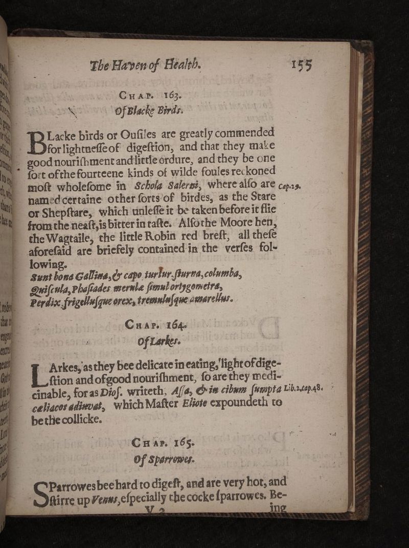 Of Blacky Birds, BLacke birds or Oulilcs are greatly commended forlightnefleof digeftion, and that they make good nourifhment and little ordure, and they be one fortofthefourteene kinds o{ wilde foules re* koned moft wholefome in Schola Salereit where alfo are Ca^.: named certaine other forts of birdes, as the Stare or Shepftare, which unlefleit be taken before it flie from the neaft,is bitter in tafte. Alfo the Moore hen, theWagtaile, the little Robin red breft, all thefe aforefaid are briefely contained in the verfes fol- lowing Sunt bond GdUim%fy cap* tttrhr^um,columbay 6htif(ulay?hafiadcs mtrnU fmulortjgemetra3 Perdix.frigiUMffuedreXx tremnhfam amdnlbs. j Chap* 164? v* , f **+ ' • LArkes, as they bee delicate in eating/lightofdige- ftion andofgood nourifhment, fo are they medi- cinable. for as Pa?/, writeth , Ap9 &amp;i« eibnm (mpia c£lidcos*di#vaty which Mafter Elide expounded! to bethecollicke. Chap. 16$. Of sparrmy. Parrowes bee hard to digefV, and are very hot, and iftirre up Fe/wv^efpecially the cocke (parrowes. Be-