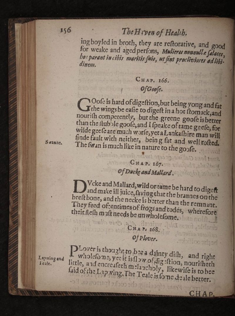 TheHiym of Health. N j' Svraane. . I Lapwing and leak. ing boyted in broth, they are reftorative, and good for weake and aged perfons, Mullens mmtdUfalacet boj parent m cibis mritisfuis, utfint fmllvmes adlibs s' m. Chap. 166. OfCoofe. G v Oo&amp;is bird ofdigeftion,but being yong and fat nnnri(^e W,DgS be e?fieur° dLgeft in a hoc ^nf3ck}and nourifli competently, but the greene goofeisbi-Jr than the ftubSIe goole,and I Ipeake oFtame geefc for finde fault with neither, being fat and wel(r0fted. The fwan is much like in nature to the goufo. ■* ** /> > * W V • - *»’. V * D Chap. i6j. Of Ducks **&amp;• Mallard. * \ v V • • i breft bone, and the neckeIT lu brfnes on^e They feed of:entimesoffroT3andrv|n t^erumn:‘nr' theitftefb m art needs be nnv^olei^ wherefore * **  j f*. ^ i *r Chap. i£8. ■ * t Oj Vlover. and little, ^dcncreafech malaecho^ laid ofch The Tee! m is lone de ale better, V