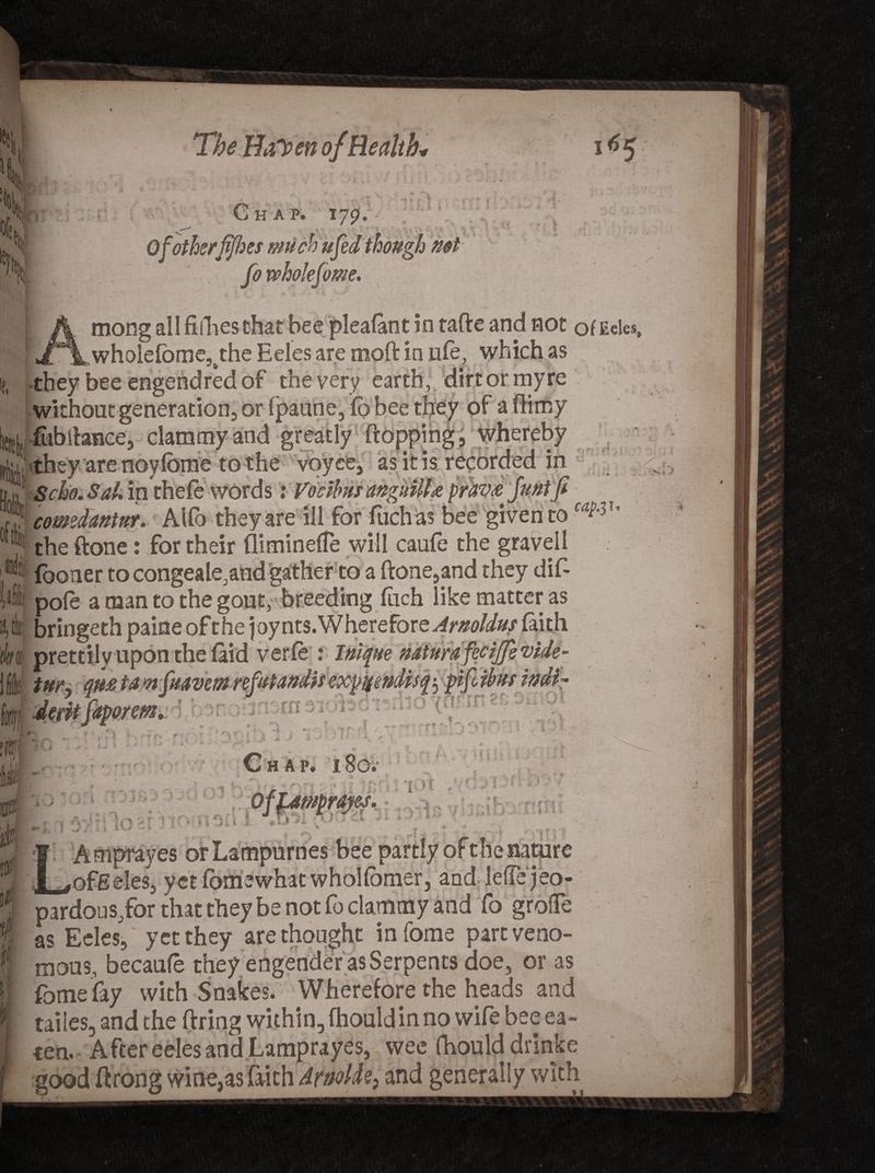 Uti. The HaT>en ofHealth* 165 m » 4 Chap. 179. , t Of otherffhes much ufed thongh not 0 dome. ■ « * mong all fillies that bee pleafant in tafte and not of Eeles, _ _wholefome5ithe Eeles are moft in life, which as •they bee engendredof the very earth, dirt or my re without generation, or Ipaune, fo bee they of a (limy l fublhnce, clammy and greatly flopping, whereby ; comedantnr. AUo they are ill for fuch as bee given to ca^u 111 the ftone: for their fliminelTe will caufe the gravell (boner to congeale,and gather to a ftone,and they dif- pole a man to the gout, breeding fuch like matter as J bringeth paine of the joy nts.Wherefor zAmoldus faith rJ prettily upon the laid verfe : Inique nMurn feeijfe vide ' * t '4 r. rs. t \ * ** ' :1 A') * 1 Jll J -Jj t 4 *• ■ HAP. l80.;: . ■ |Ot famprajes. Amprayes or Lampurnes bee partly of the nature ^^ofEeles, yetfomewhatwhoHbmer, and leftejeo- pardous/or that they be not fo clammy and fo grofie as Eeles, yet they are thought infome part veno¬ mous, becaufe they engender as Serpents doe, or as fome fay with Snakes. Wherefore the heads and taiies, and the firing within, fhould in no wife bee ea¬ ten. After eeles and Lamprayes, wee Ihould drinke good ftrong wine,as faith Arnold?, and generally with .. .w