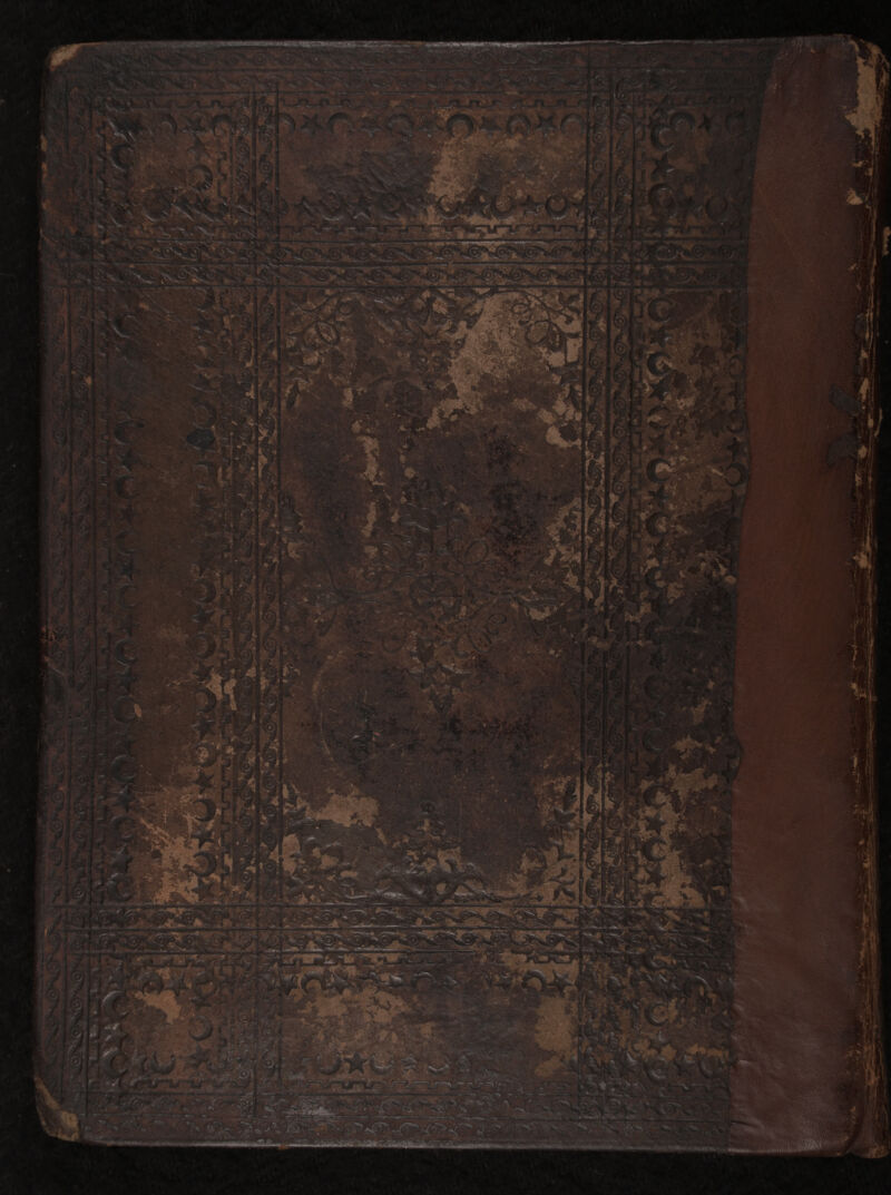 No text description is available for this image