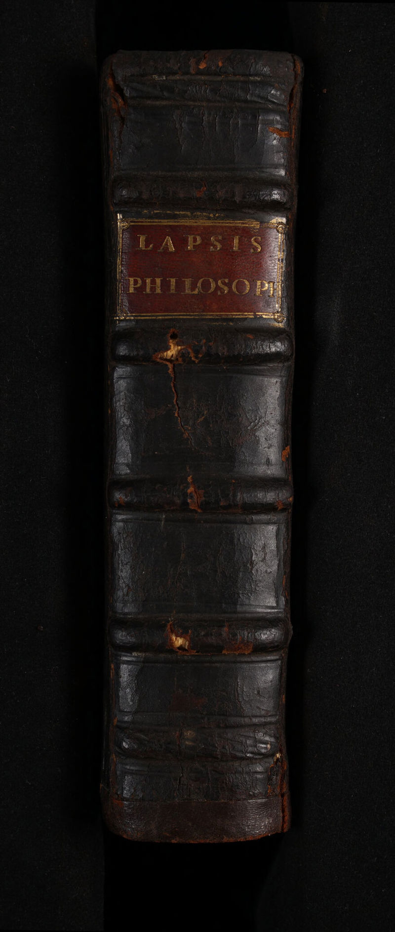 No text description is available for this image