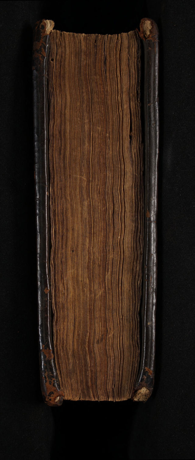 digitised image 3