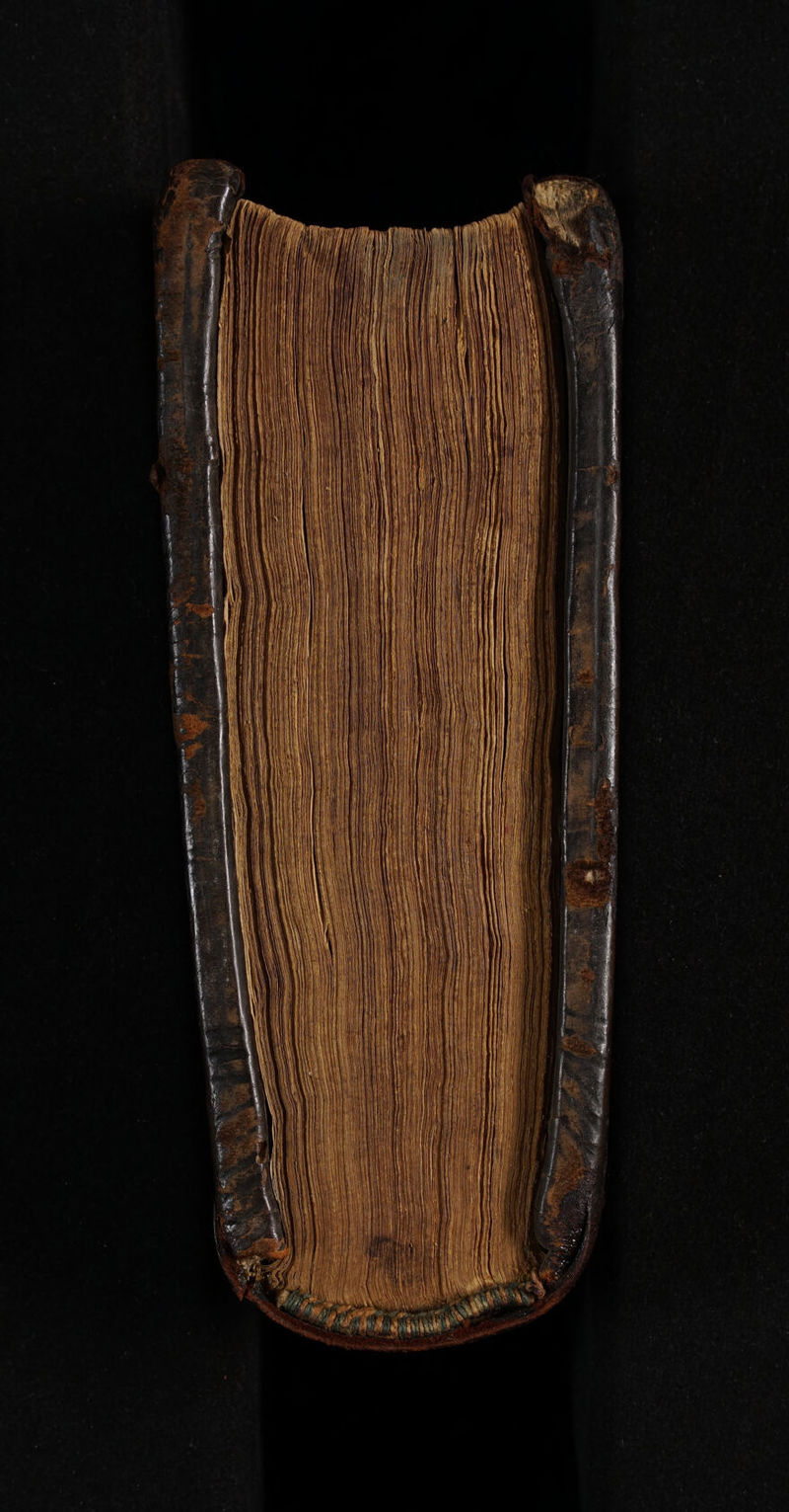 No text description is available for this image