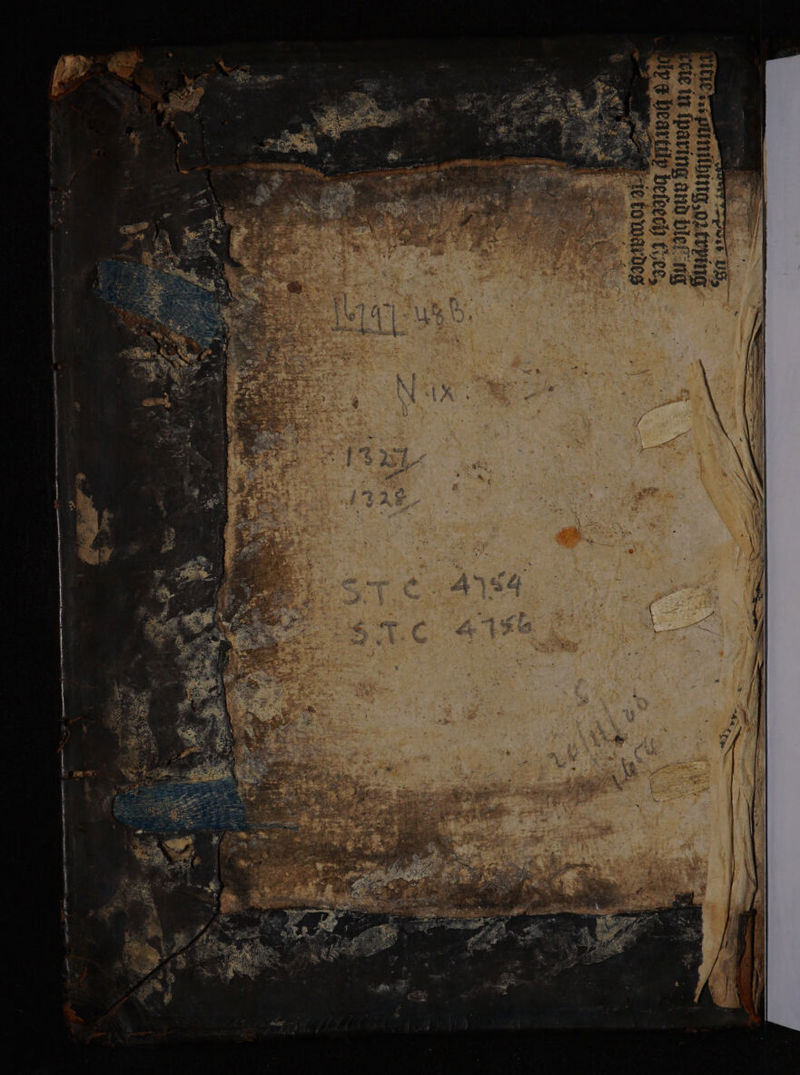 . LR  e  - uh Pinaste Me GRAECIS D mne NUM JM msi RB ttt nmn